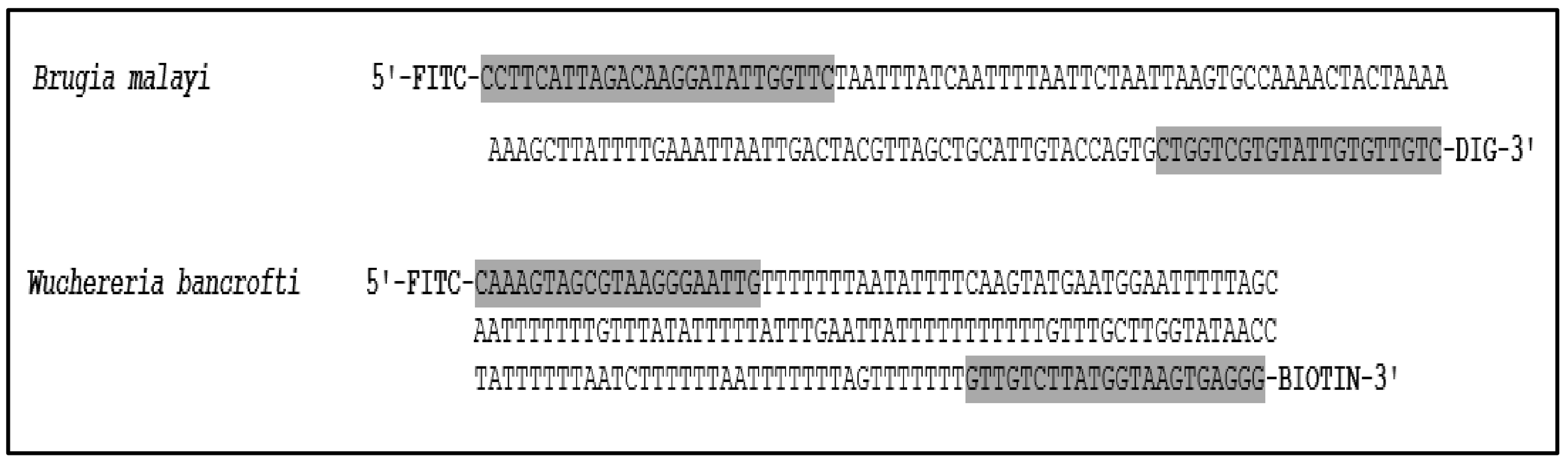 Diagnostics 11 01855 g001 Diagnostics 11 01855 g001