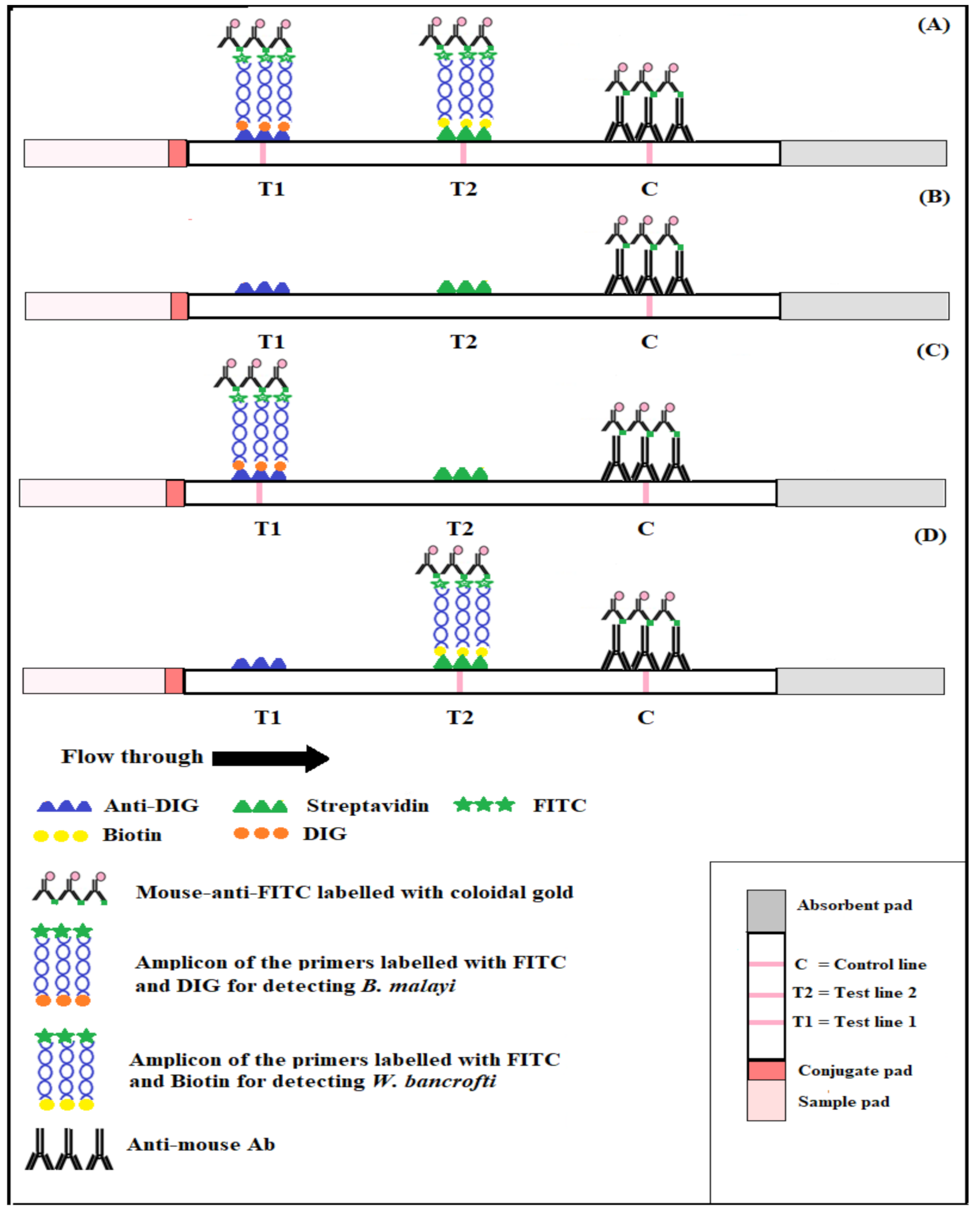 Diagnostics 11 01855 g002 Diagnostics 11 01855 g002