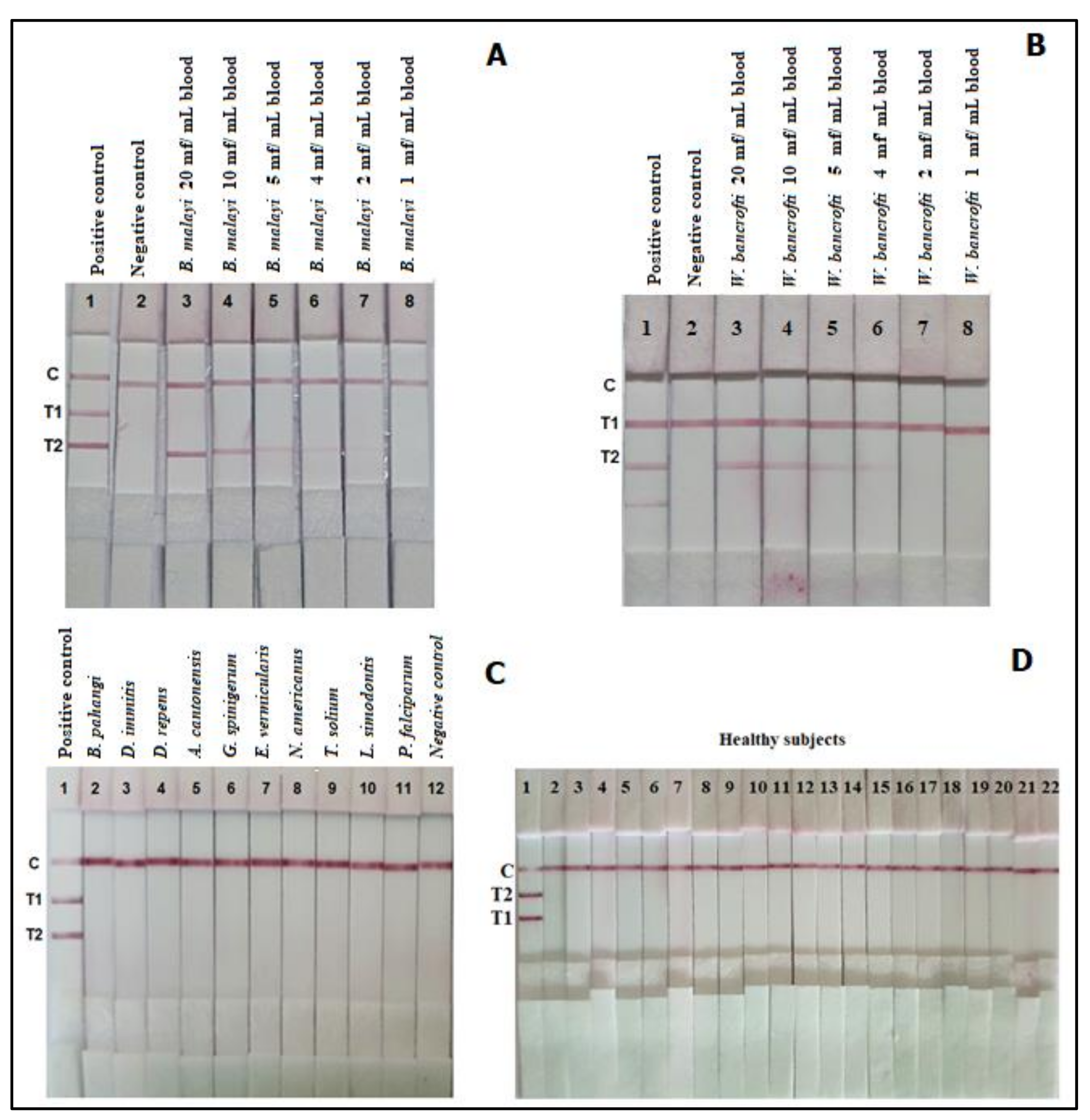 Diagnostics 11 01855 g004 Diagnostics 11 01855 g004