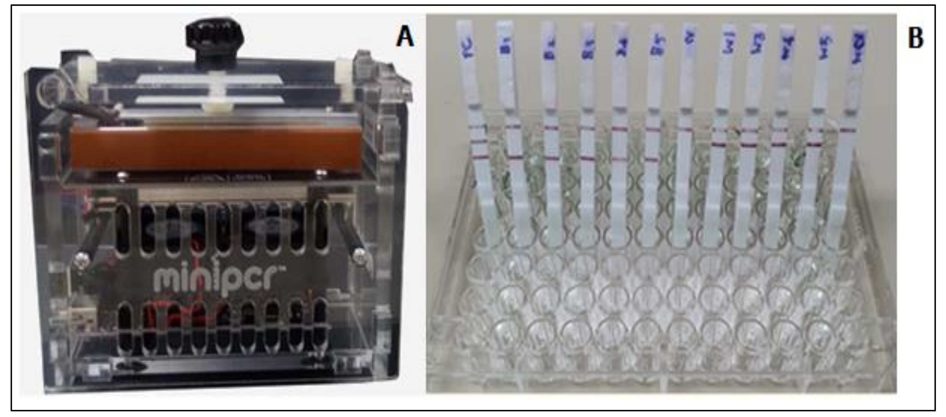 Diagnostics 11 01855 g005 Diagnostics 11 01855 g005