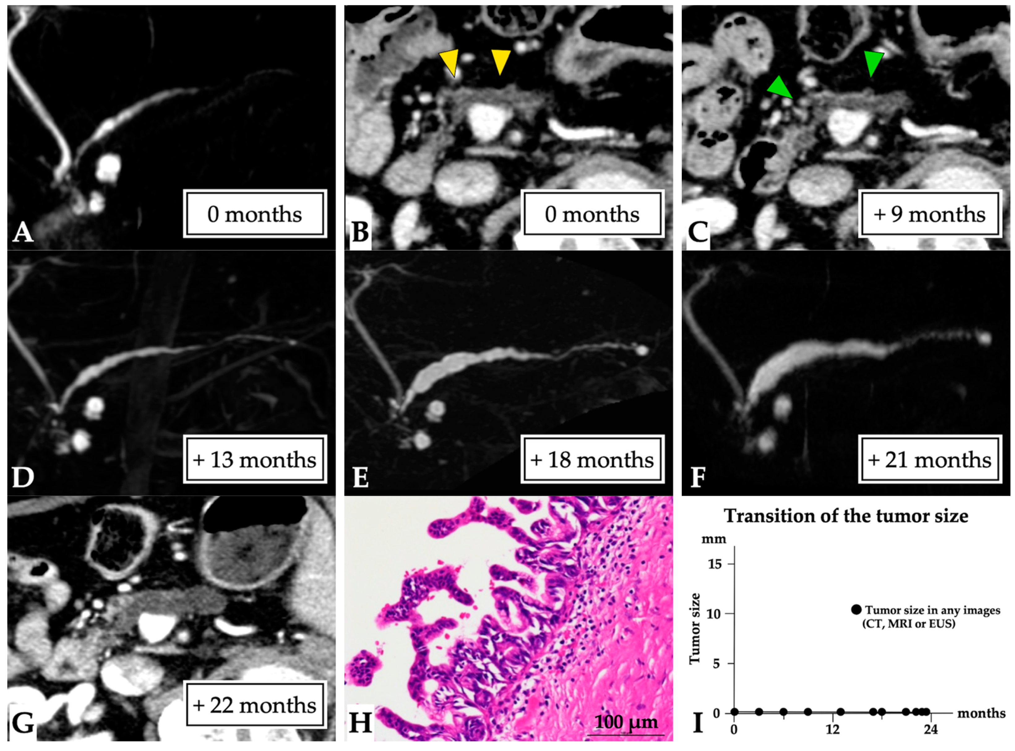 Diagnostics 11 01858 g003 550