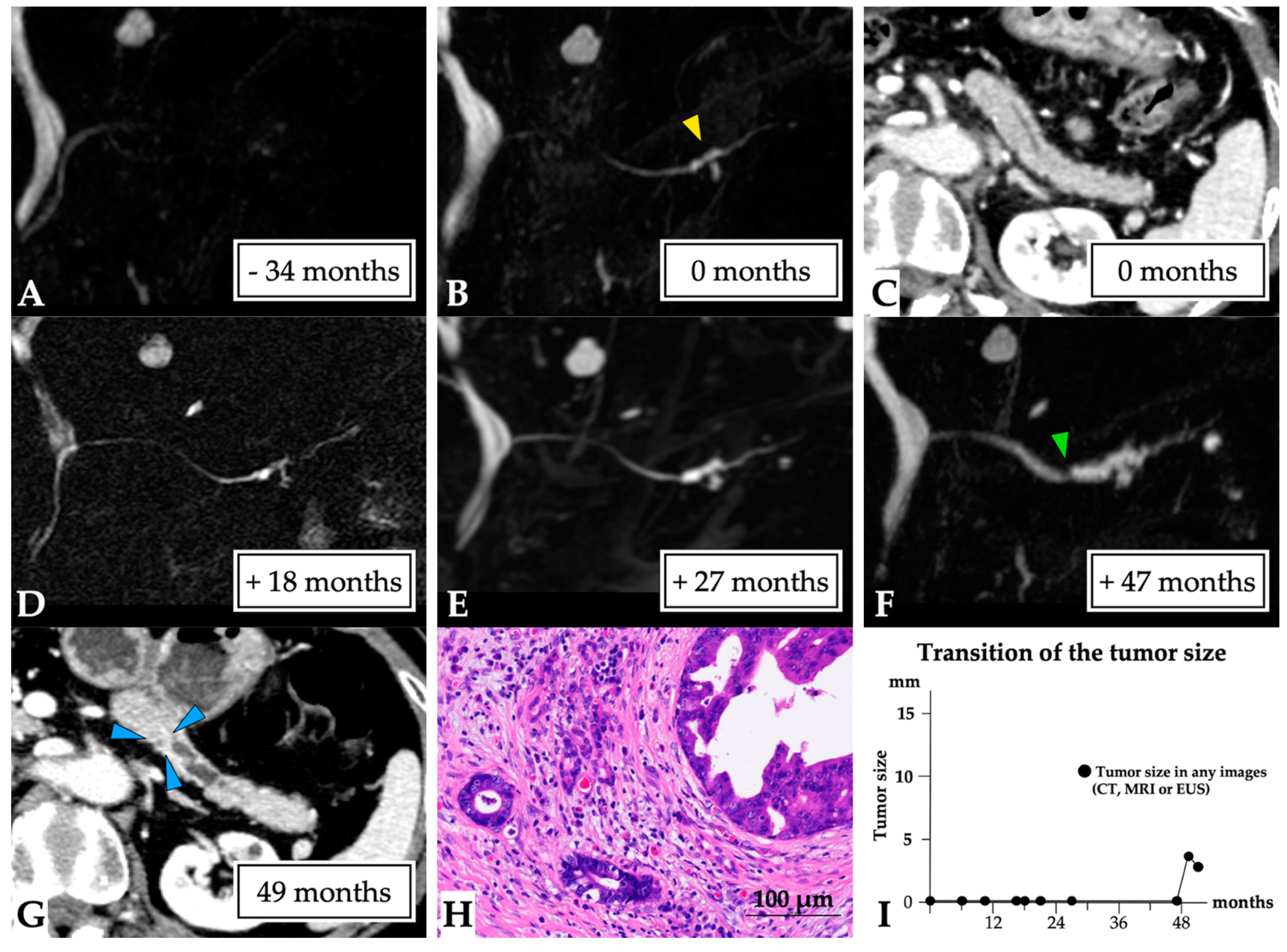 Diagnostics 11 01858 g004 550