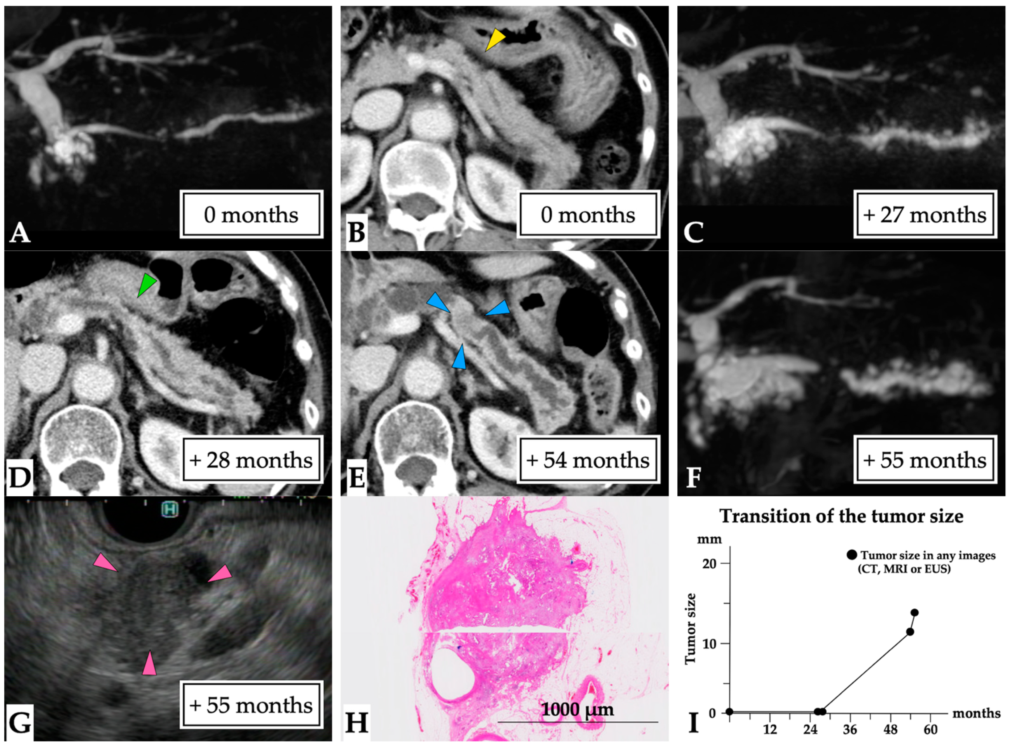 Diagnostics 11 01858 g005 550