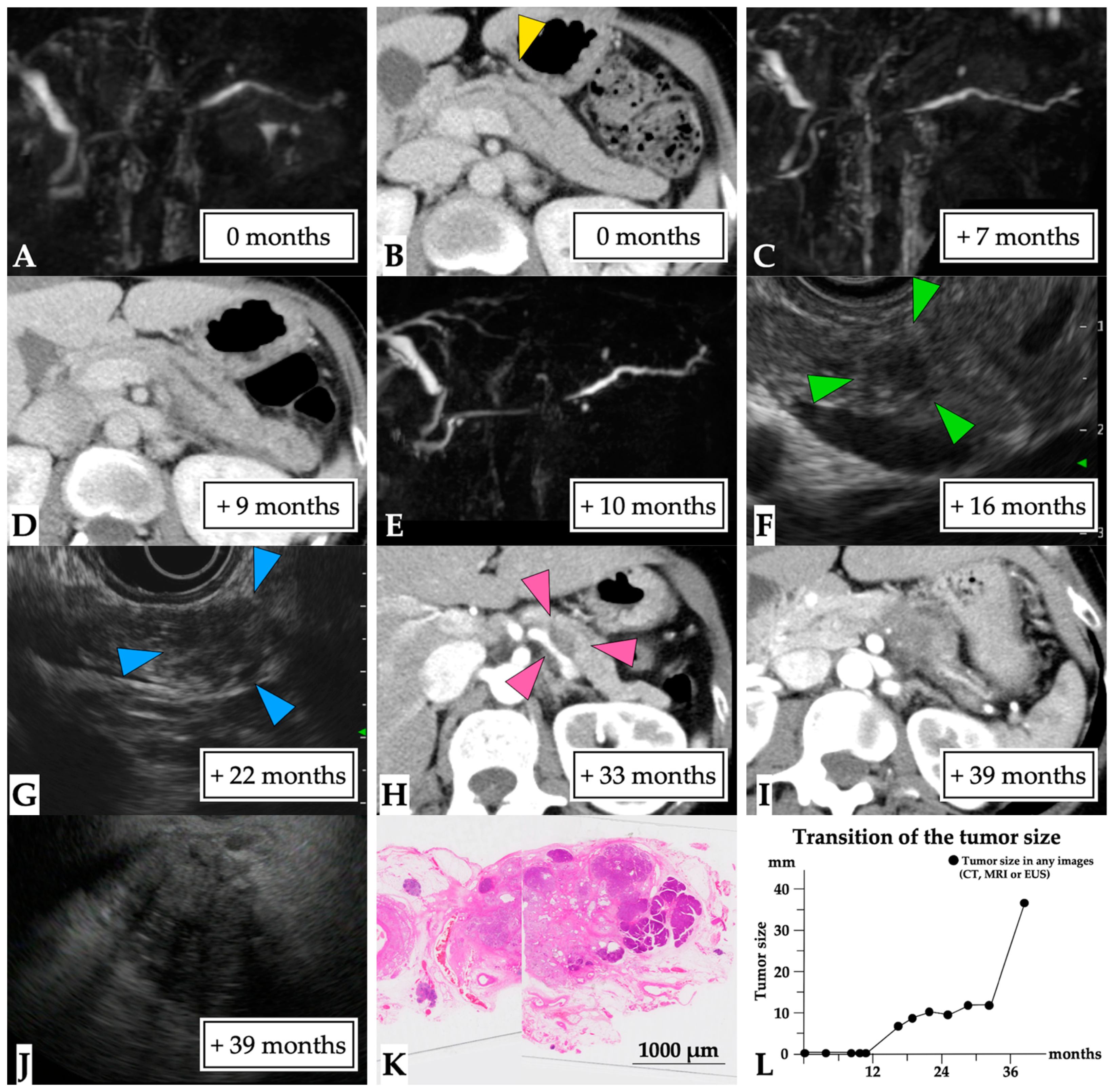 Diagnostics 11 01858 g006 550