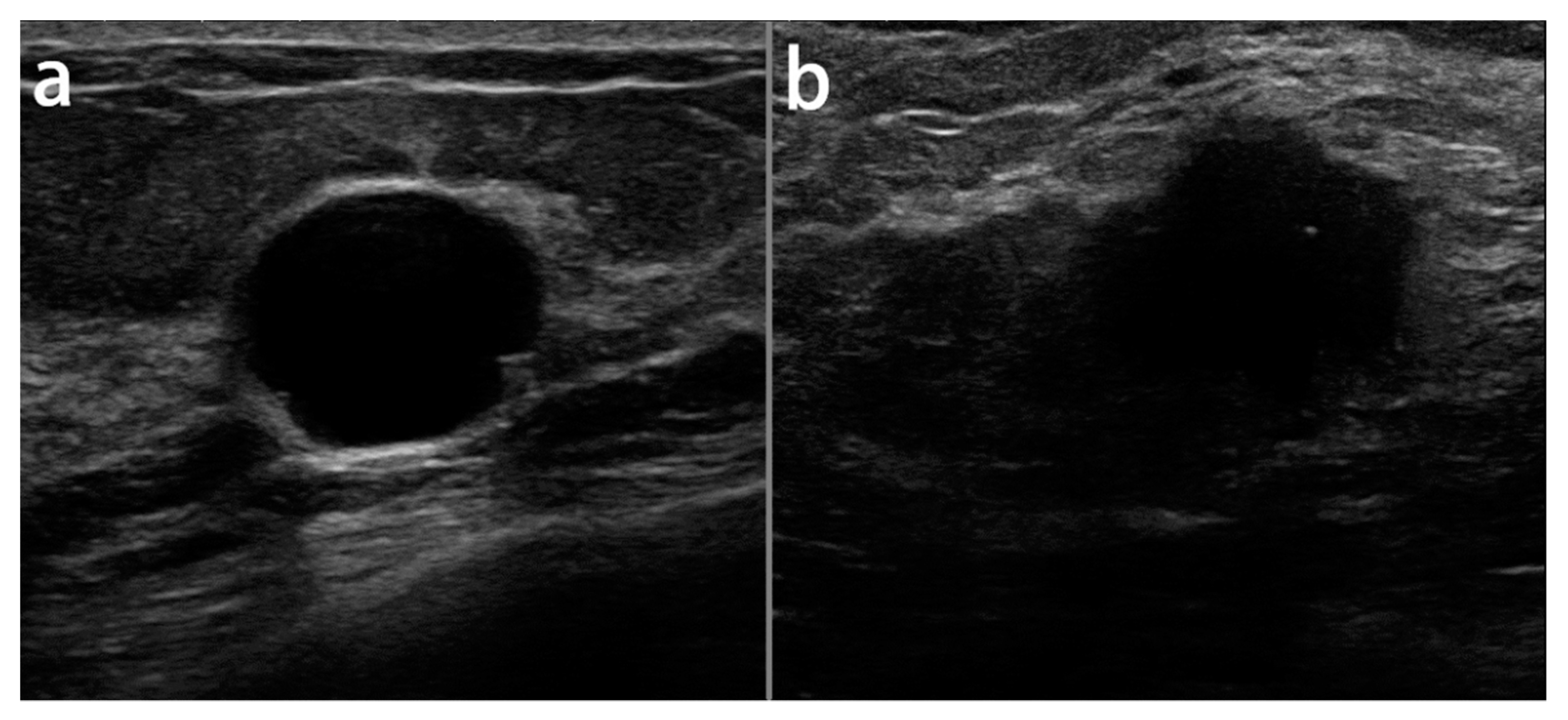 Diagnostics 11 01859 g002 550