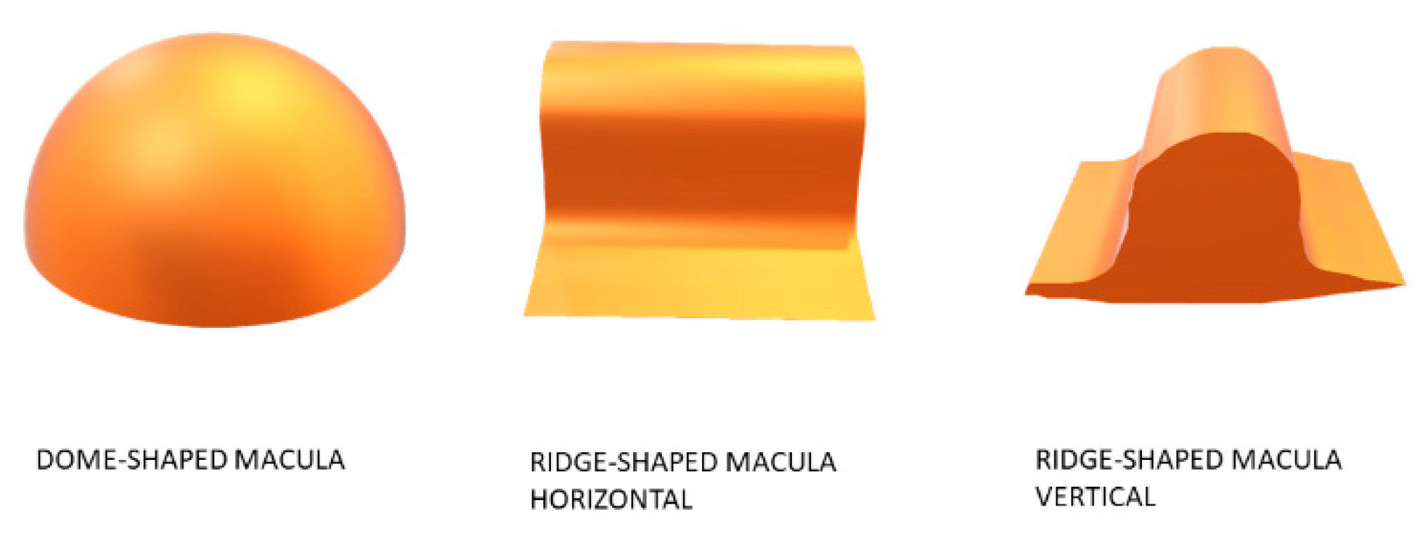 Diagnostics 11 01864 g001 550