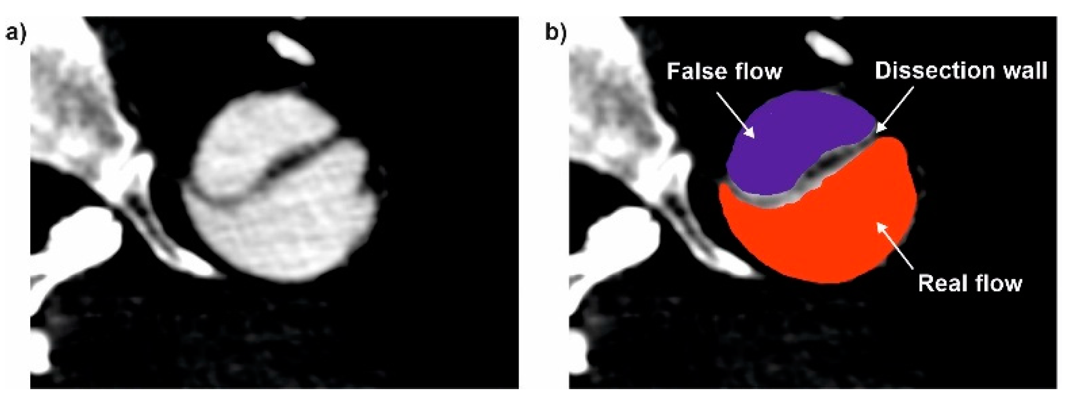 Diagnostics 11 01866 g001 550