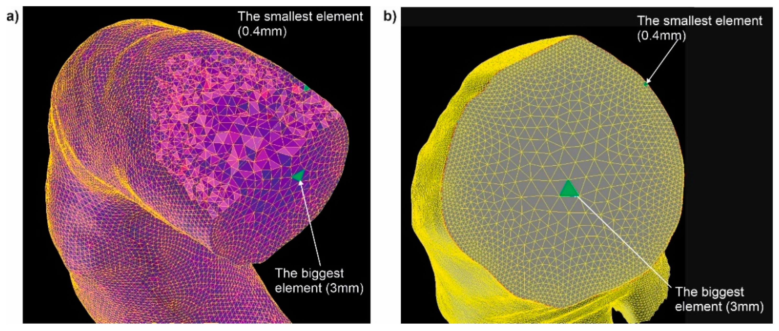 Diagnostics 11 01866 g003 550