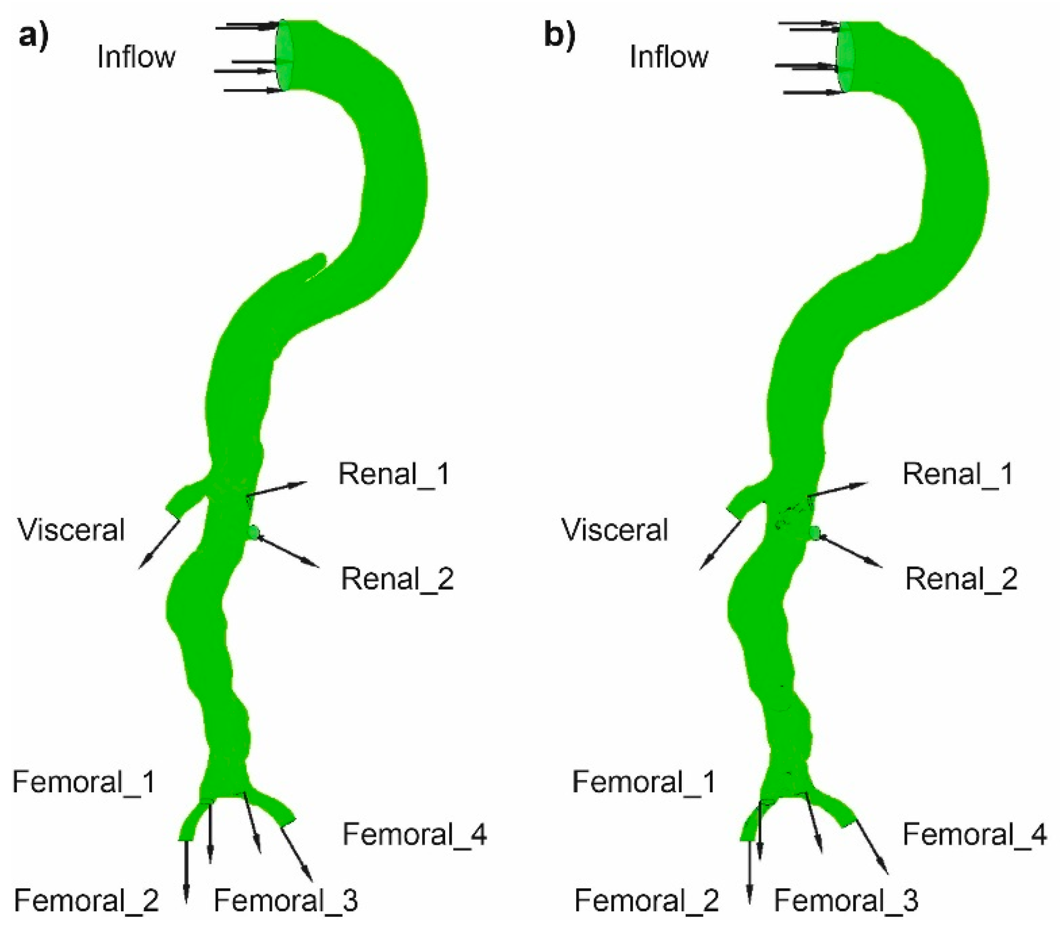 Diagnostics 11 01866 g004 550