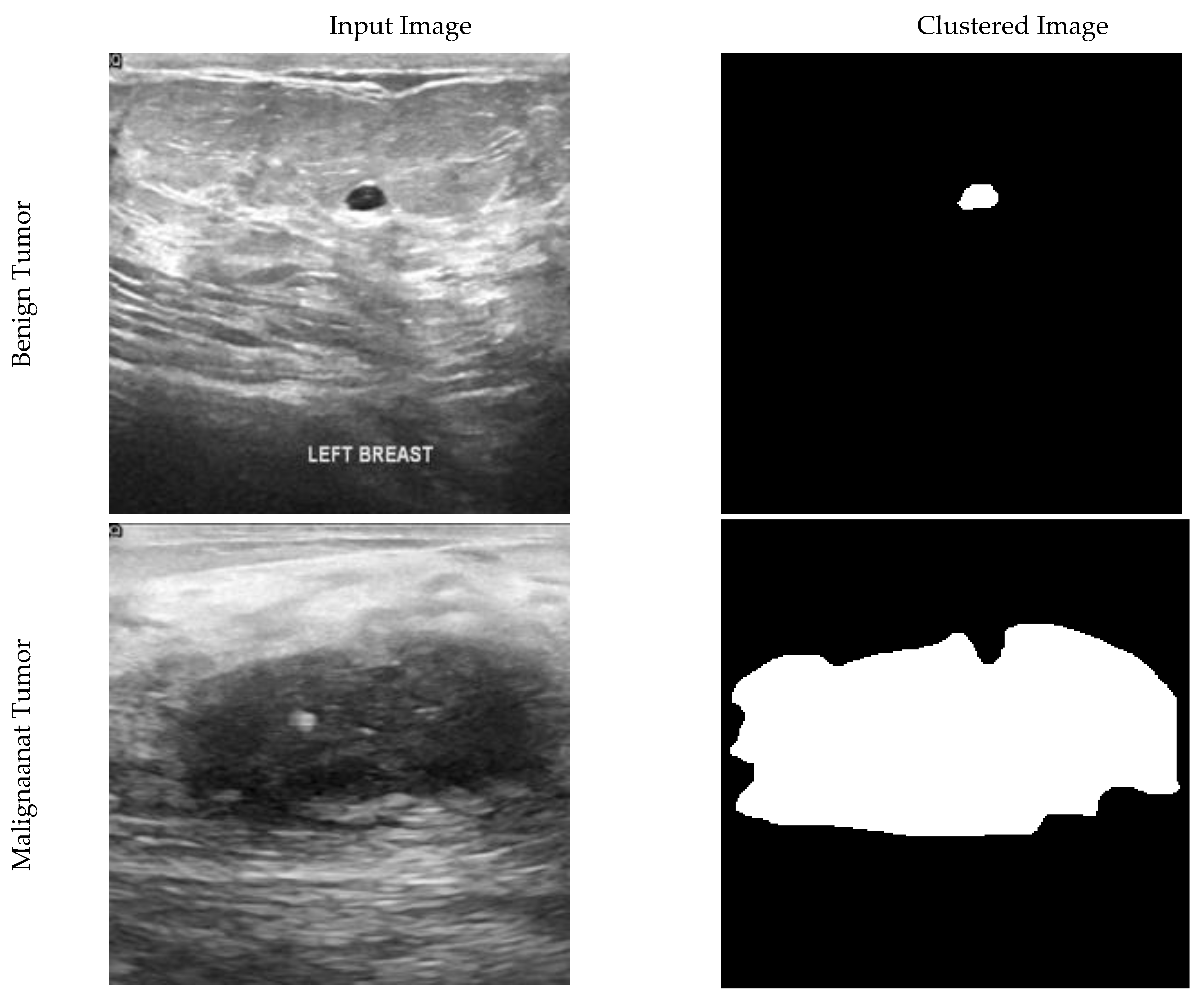 Diagnostics 11 01870 g001a 550