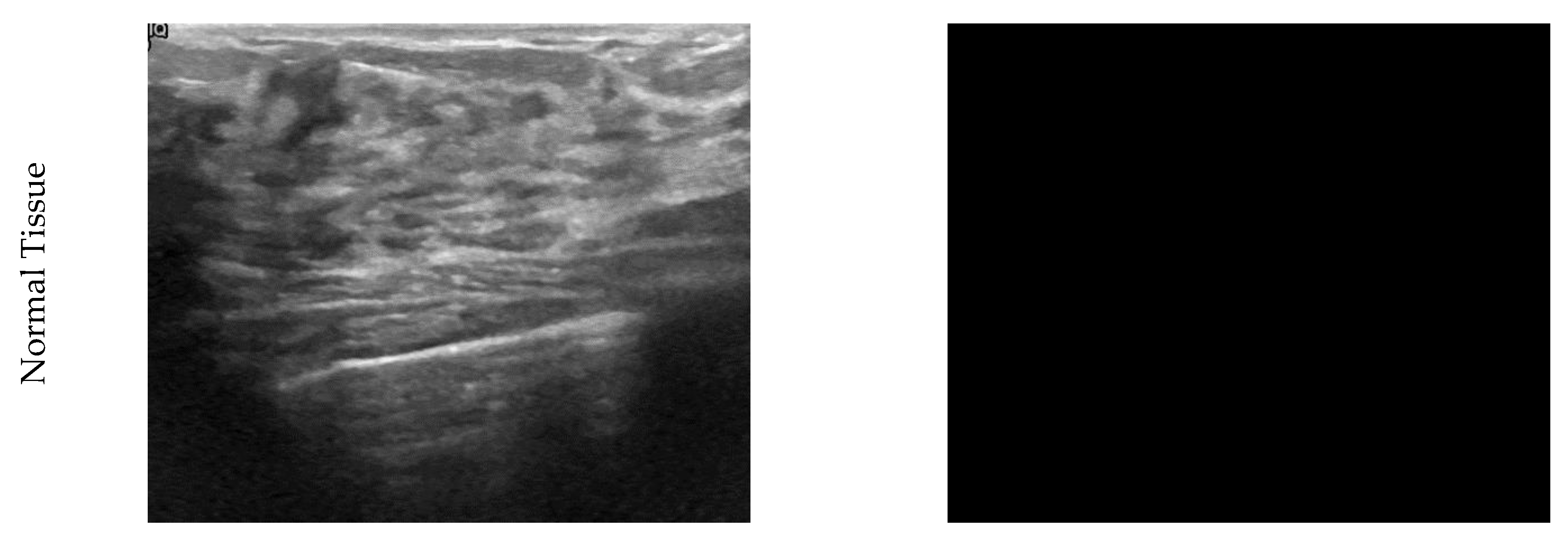 Diagnostics 11 01870 g001b 550