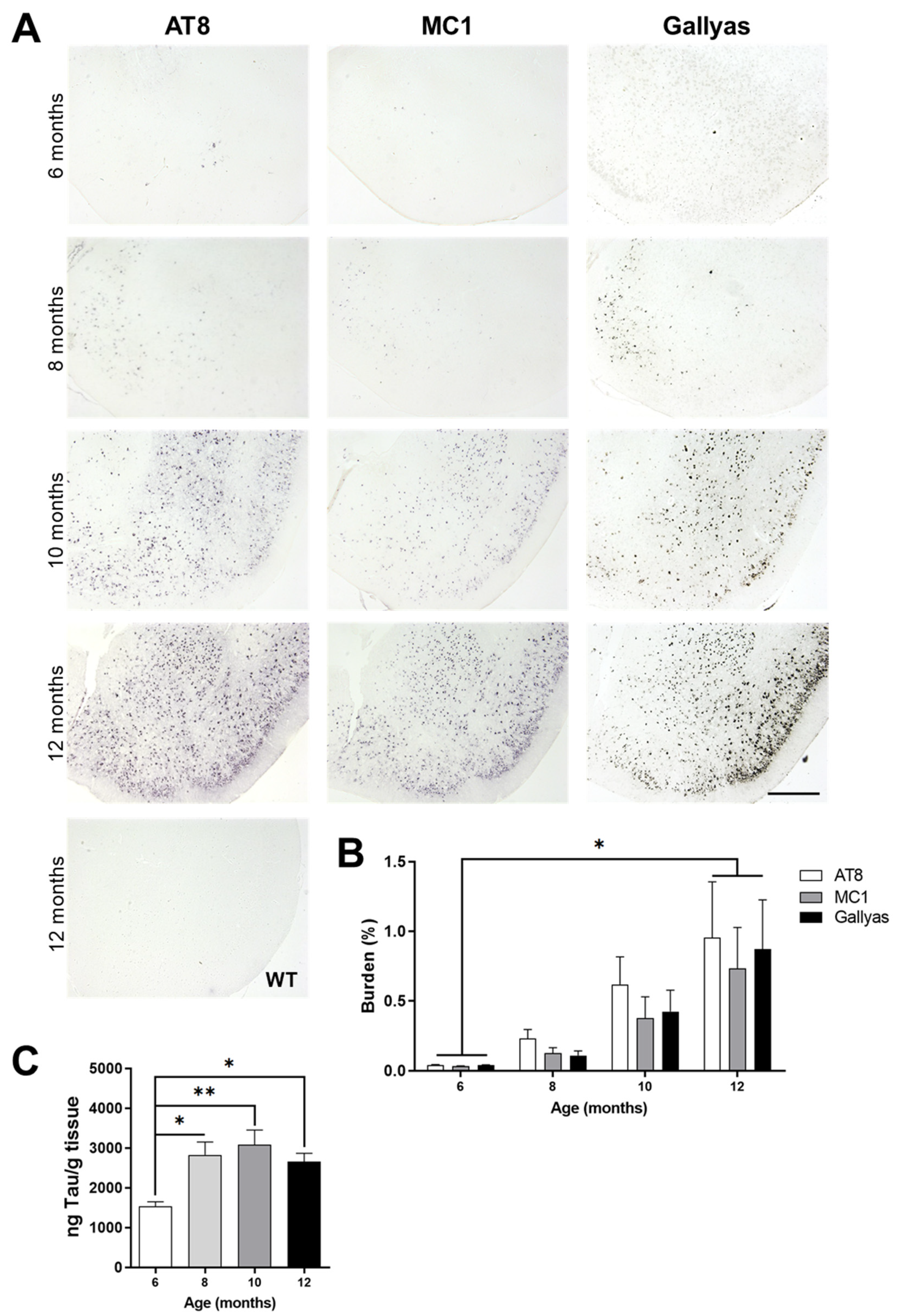 Diagnostics 11 01874 g004 550