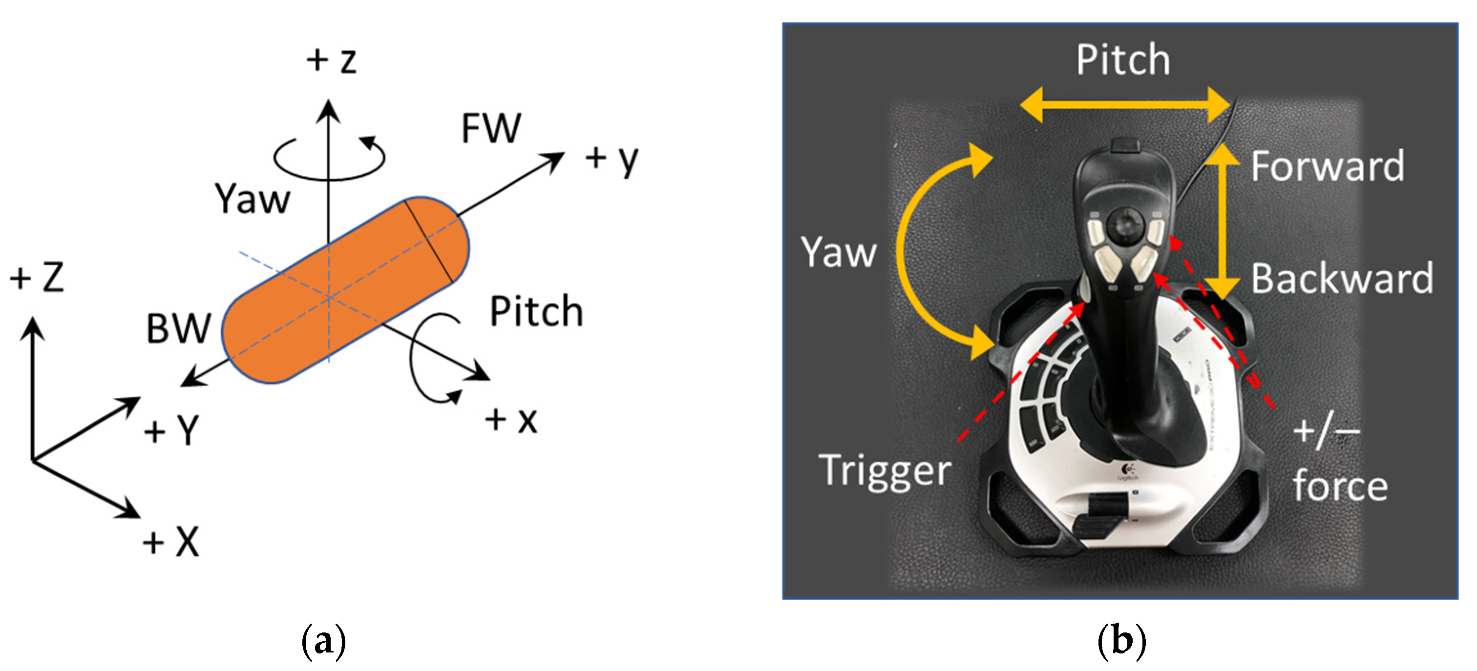 Diagnostics 11 01878 g002 550