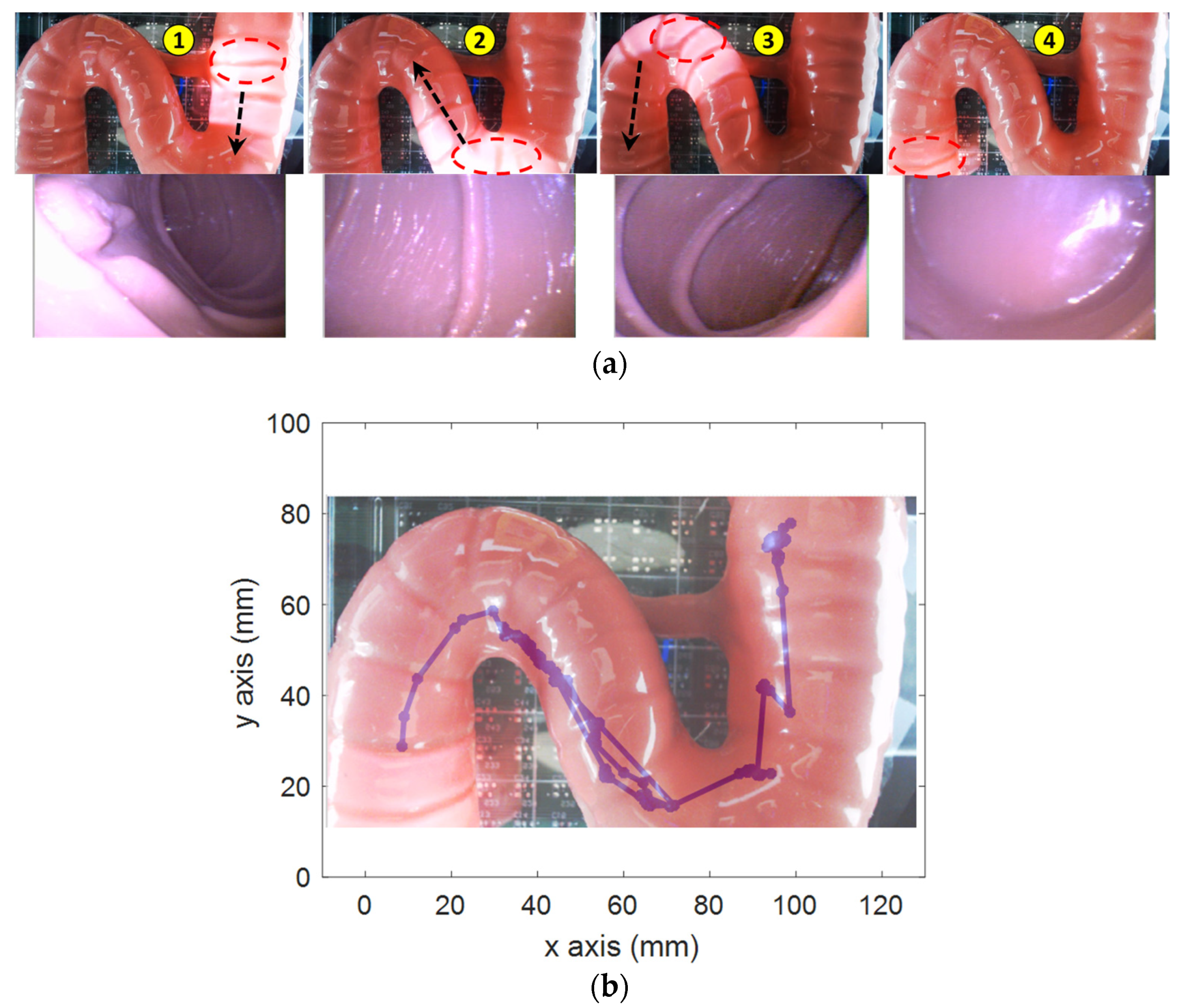 Diagnostics 11 01878 g008 550