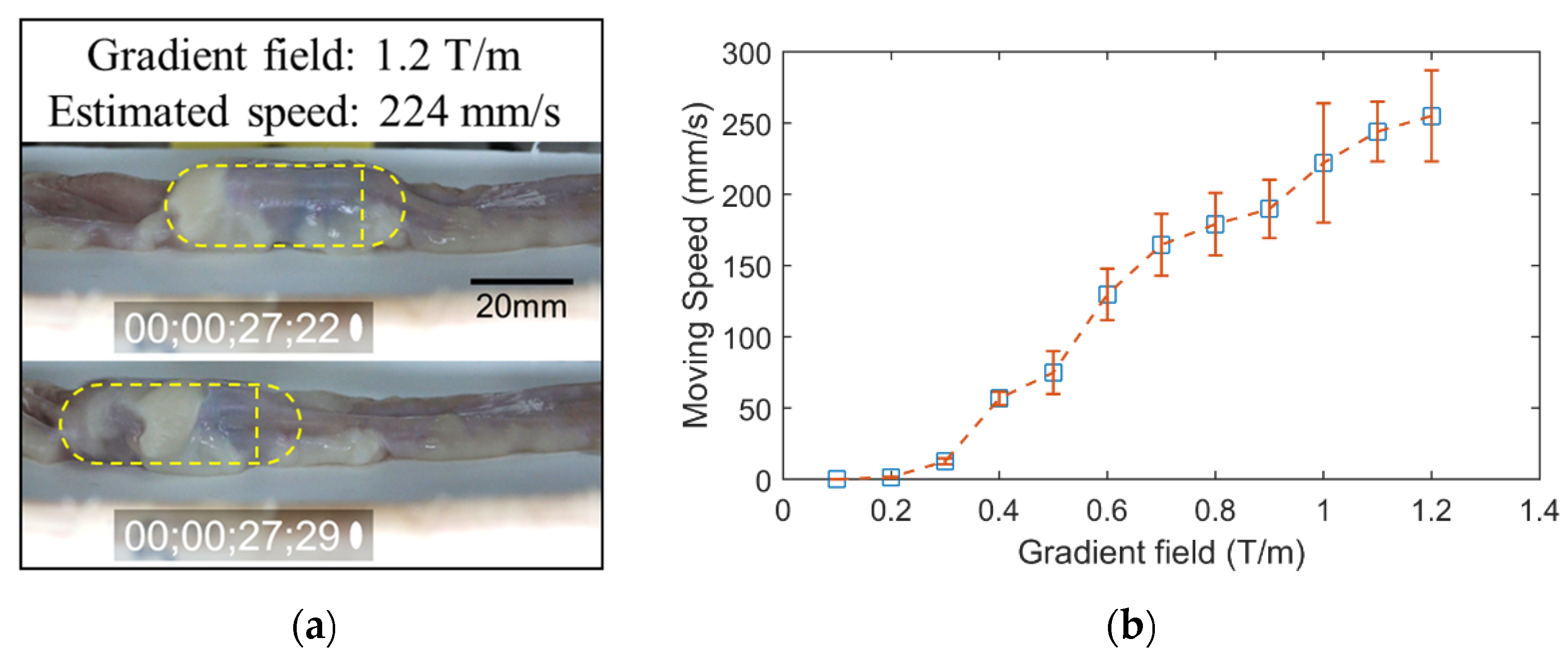 Diagnostics 11 01878 g009 550