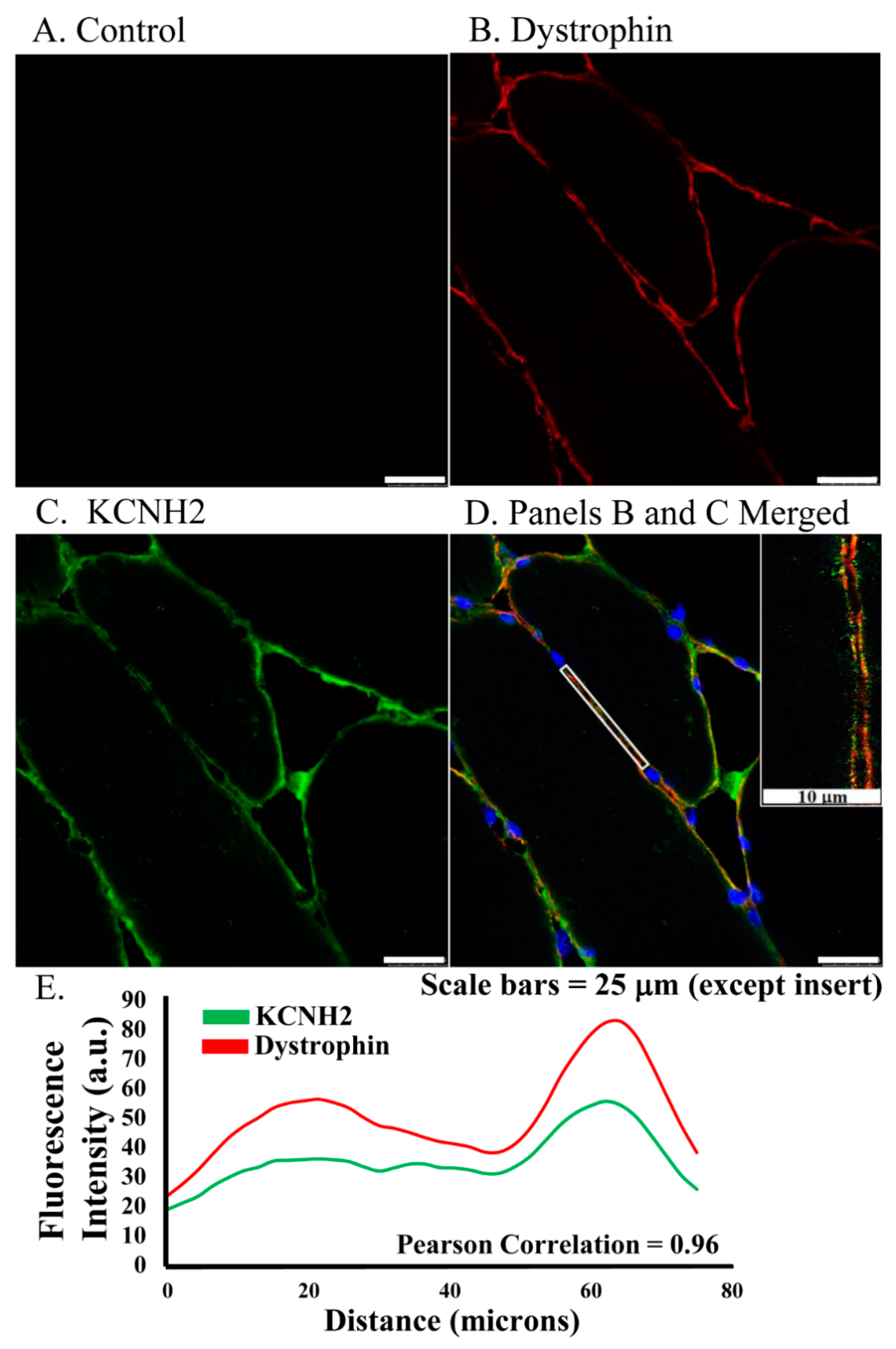 Diagnostics 11 01879 g001 550
