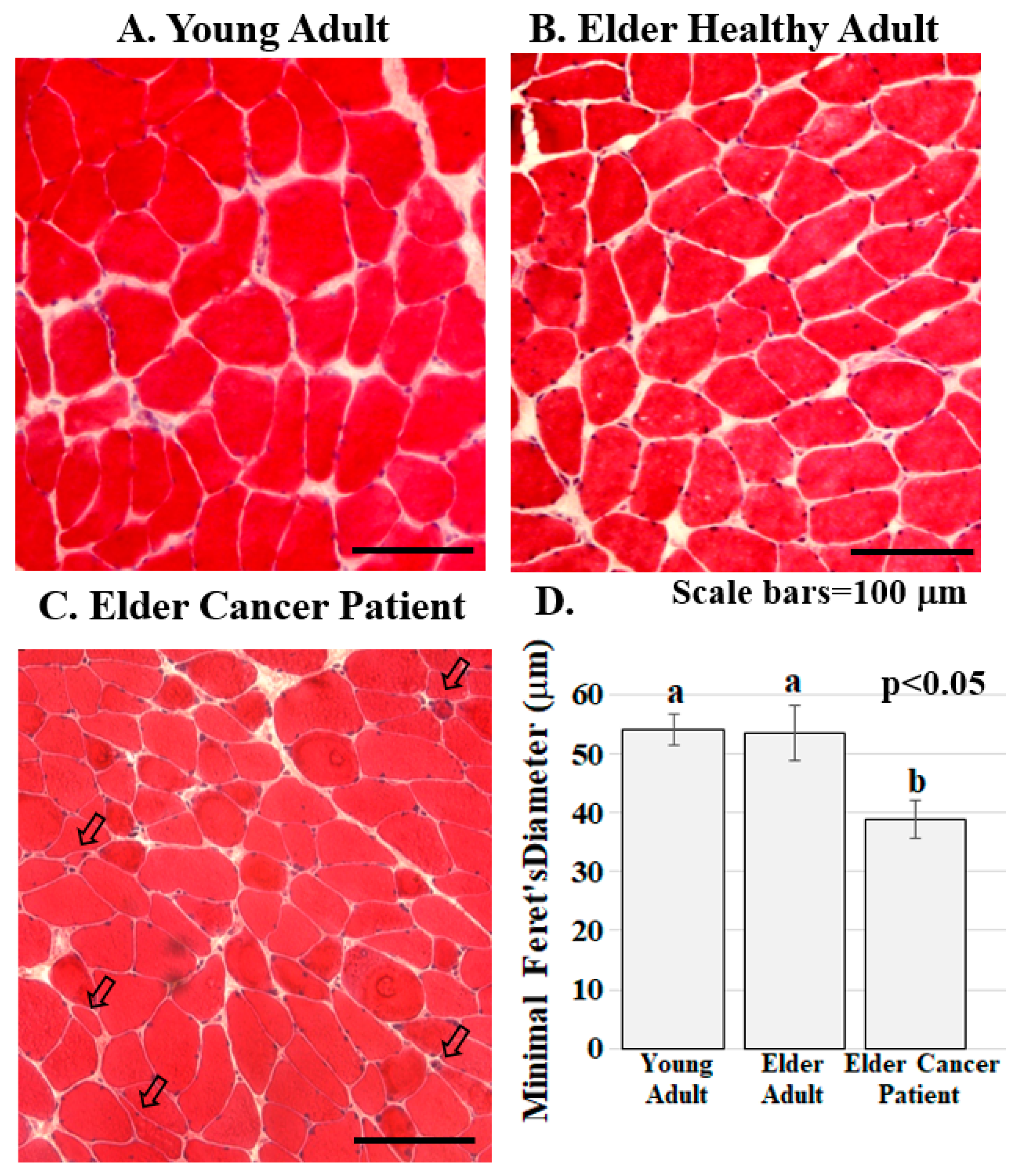 Diagnostics 11 01879 g002 550