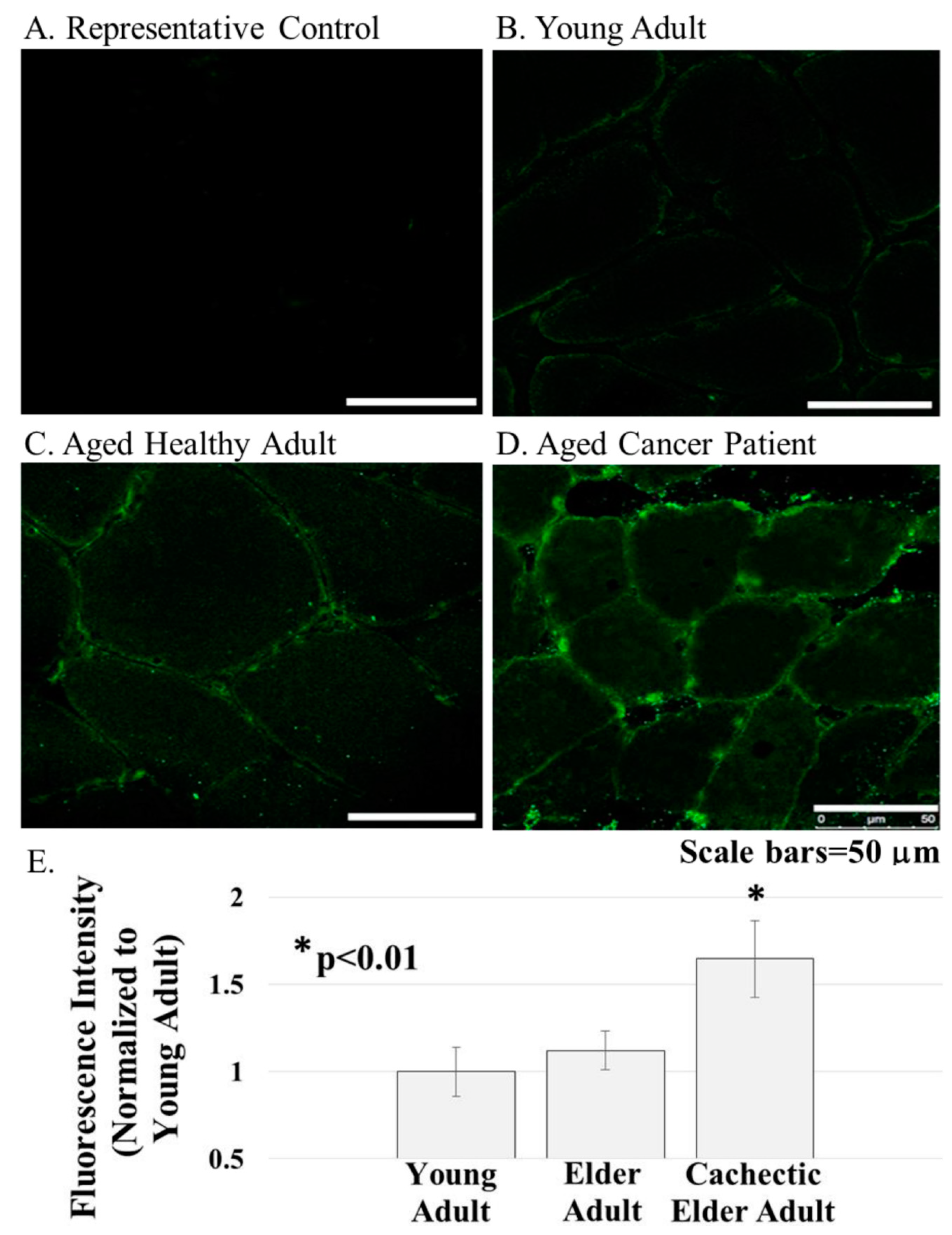 Diagnostics 11 01879 g003 550