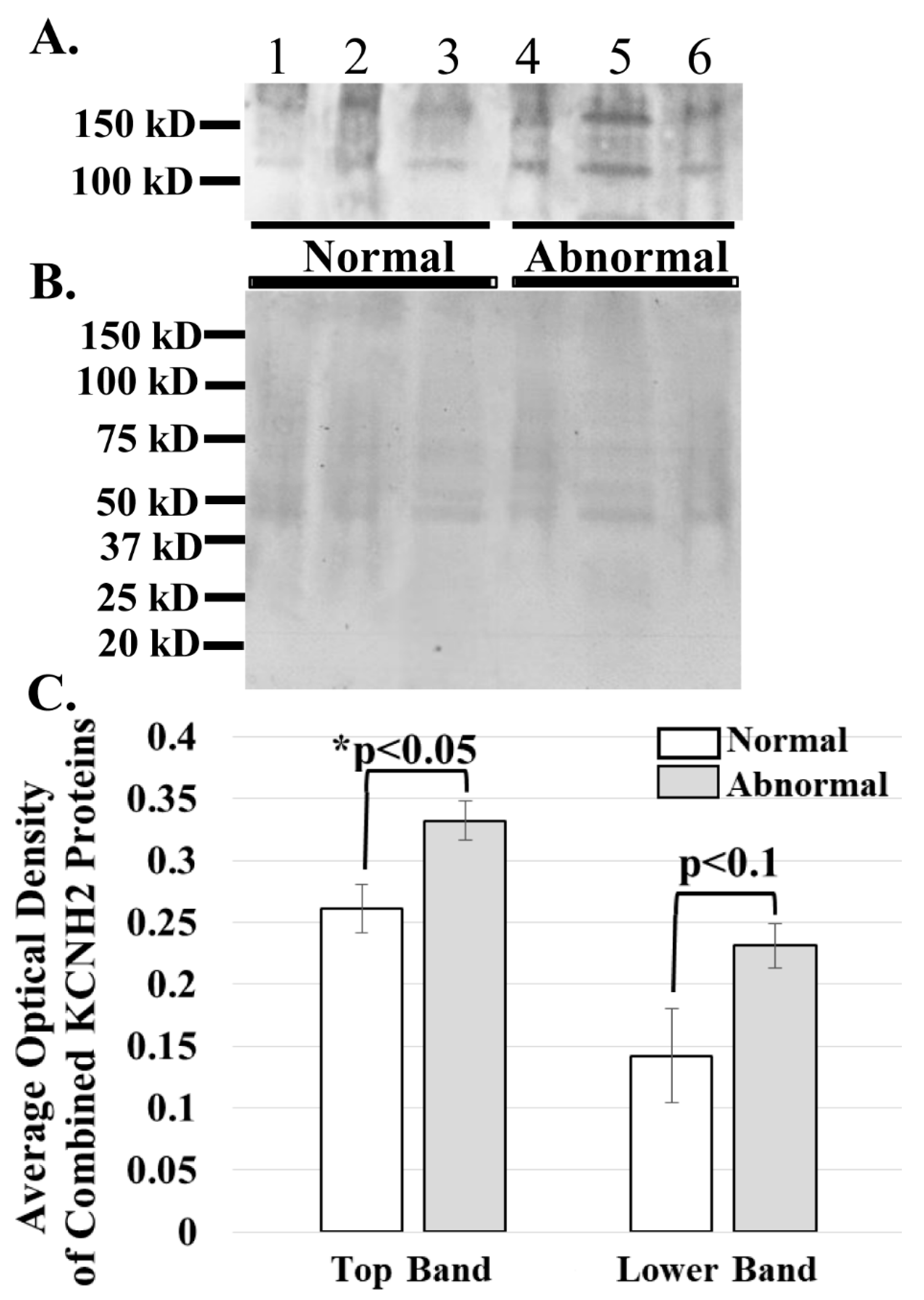 Diagnostics 11 01879 g004 550