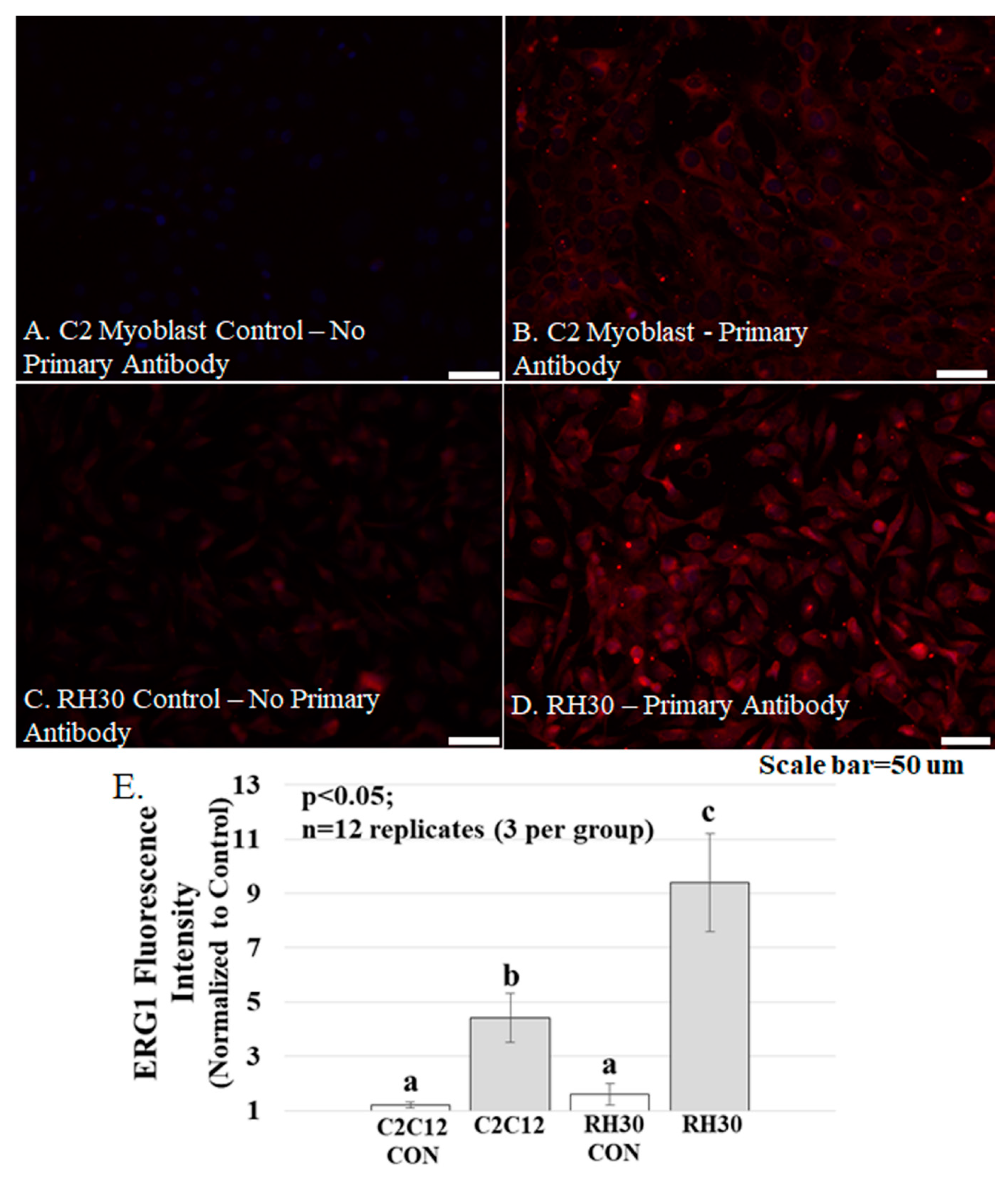 Diagnostics 11 01879 g005 550