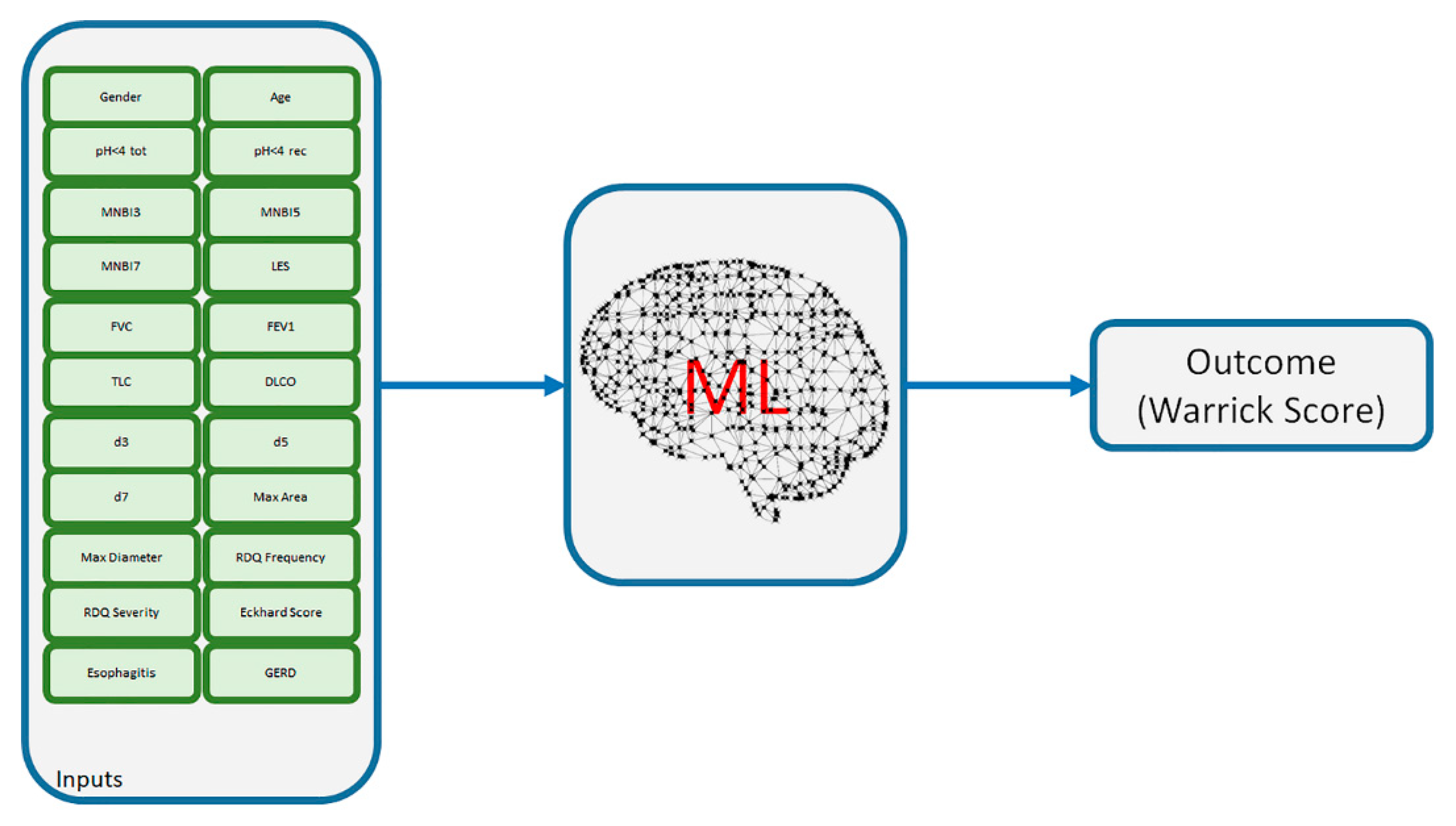 Diagnostics 11 01880 g001