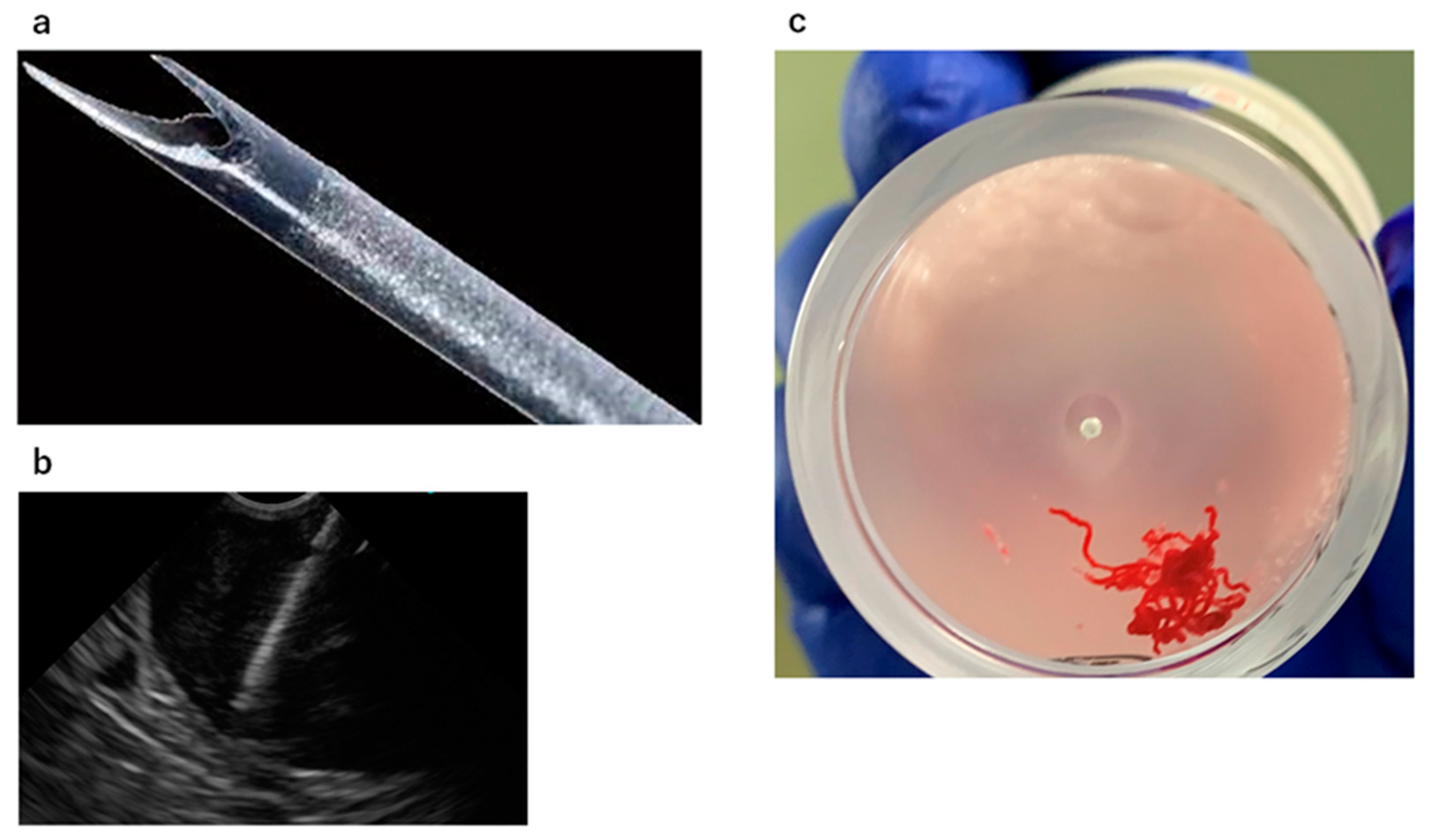 Diagnostics 11 01883 g001