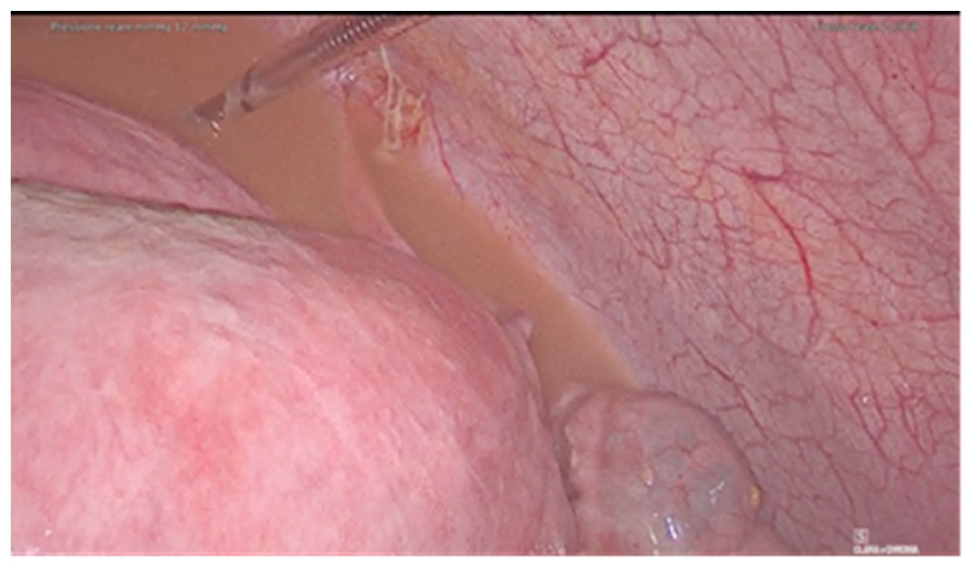 Diagnostics 11 01885 g001 550