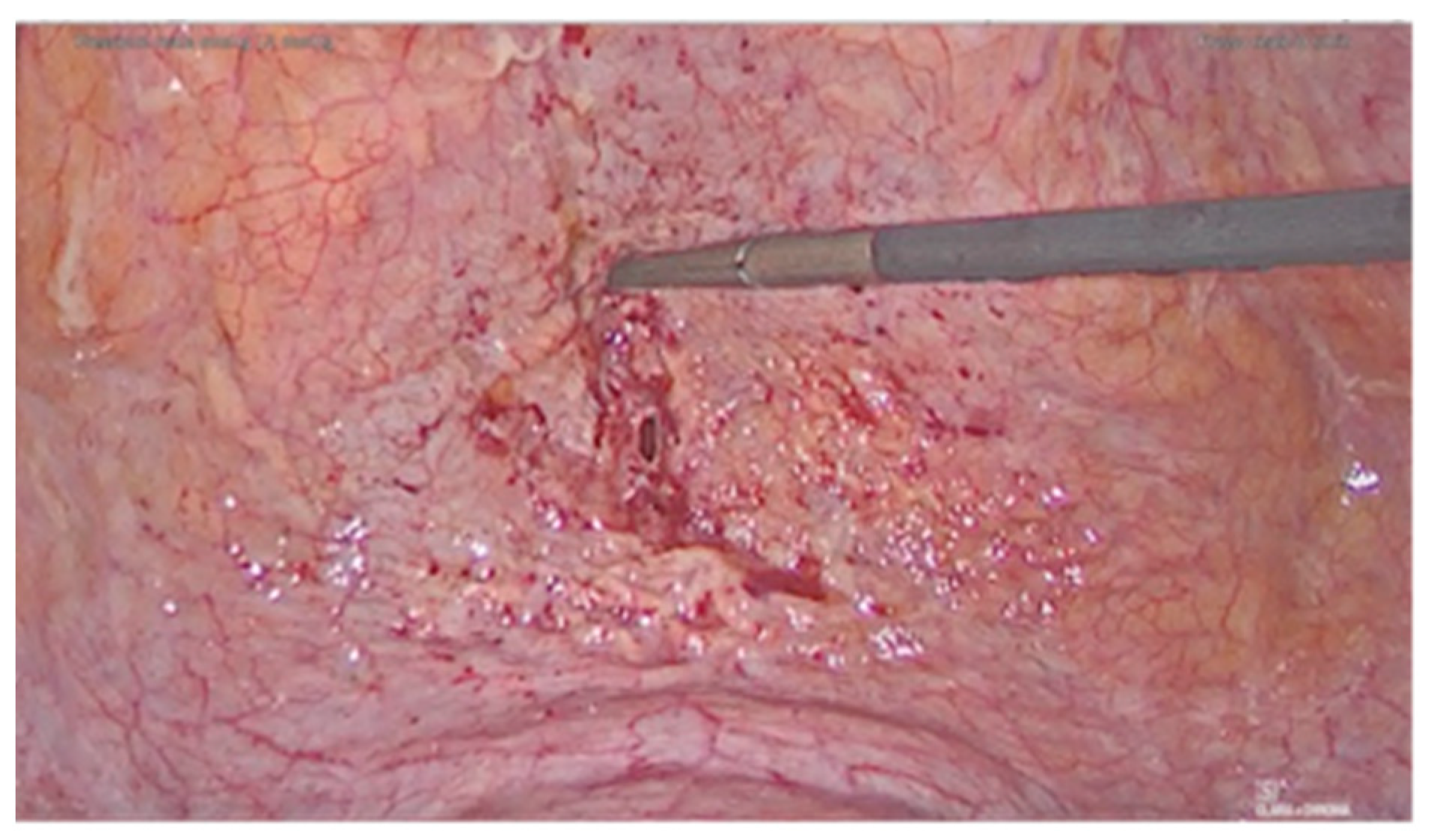 Diagnostics 11 01885 g002 550