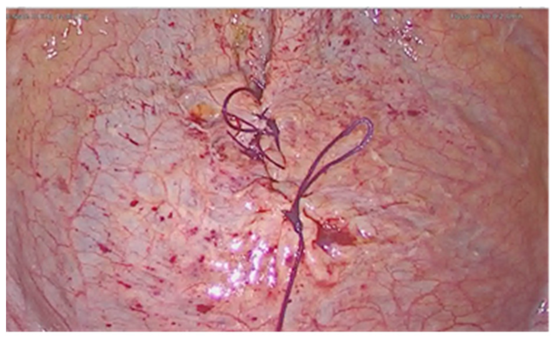 Diagnostics 11 01885 g004 550