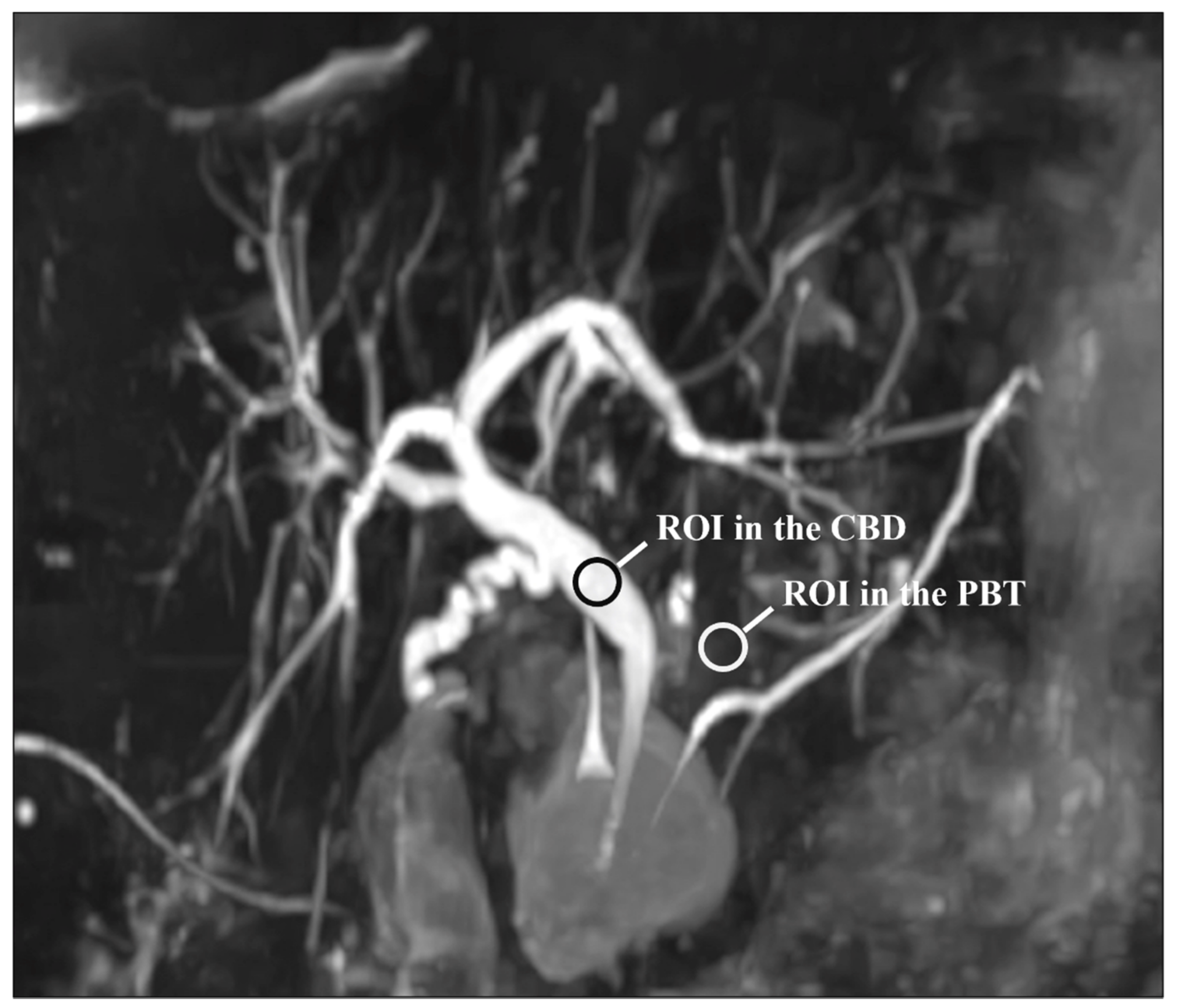 Diagnostics 11 01886 g001 550