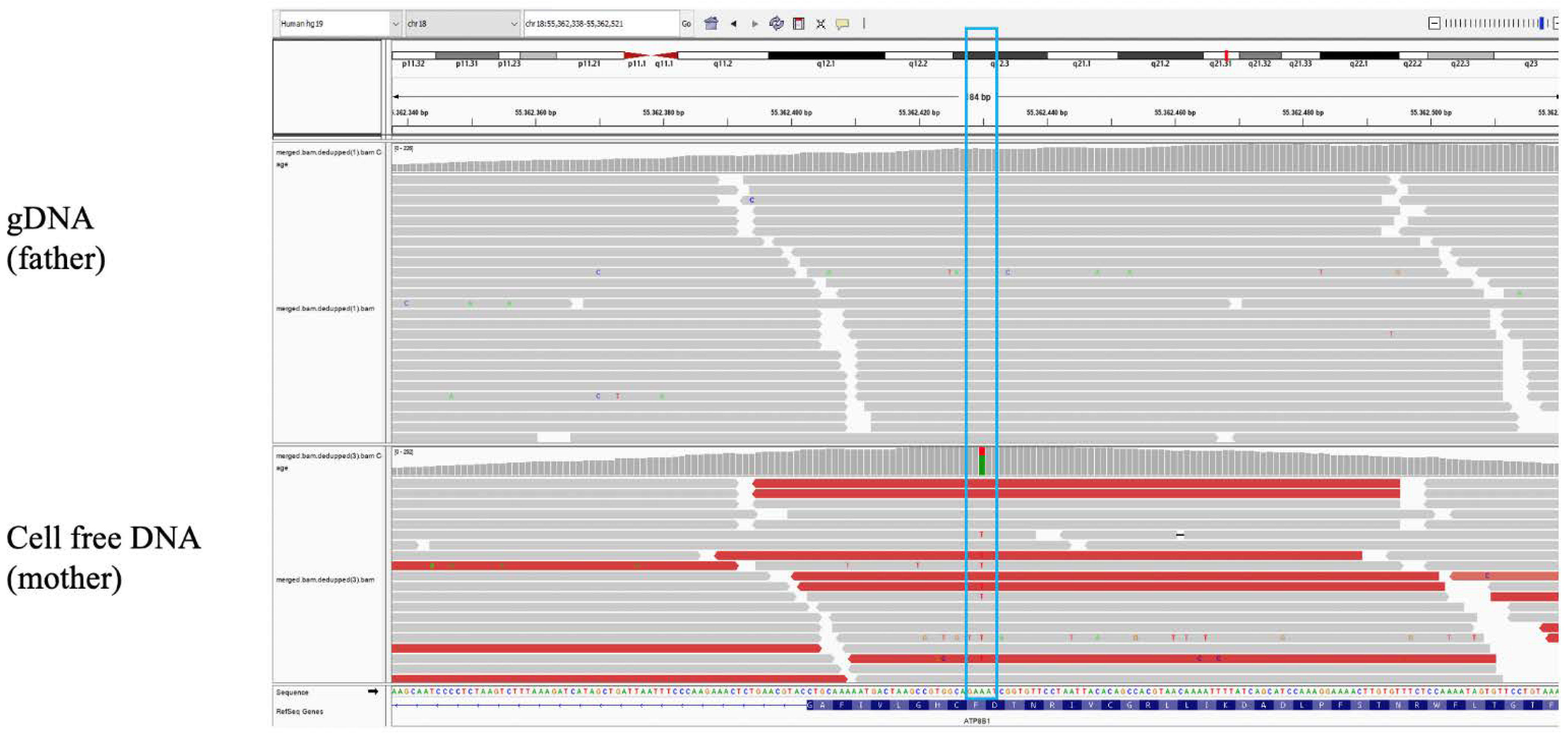 Diagnostics 11 01904 g002 550