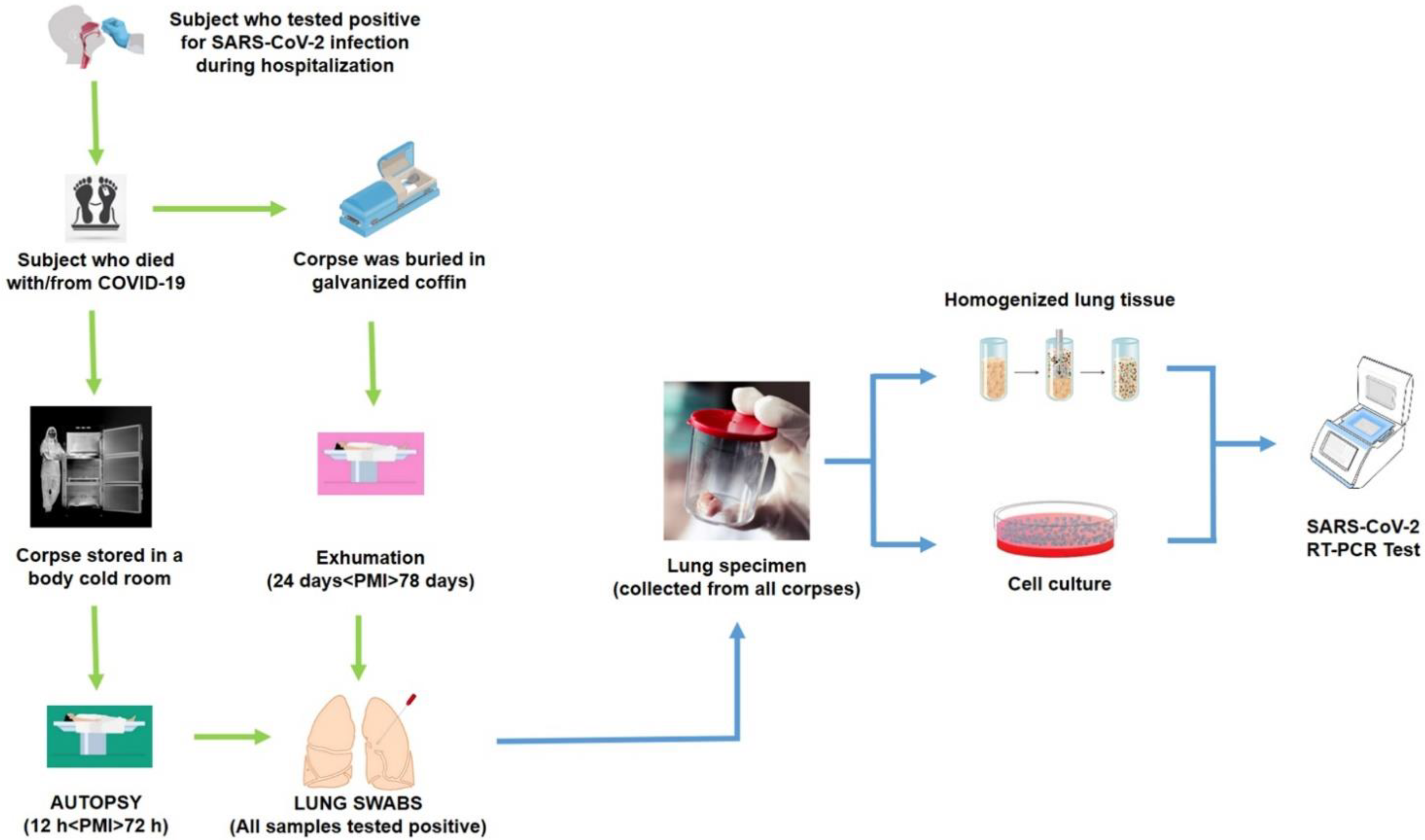 Diagnostics 11 01913 g001