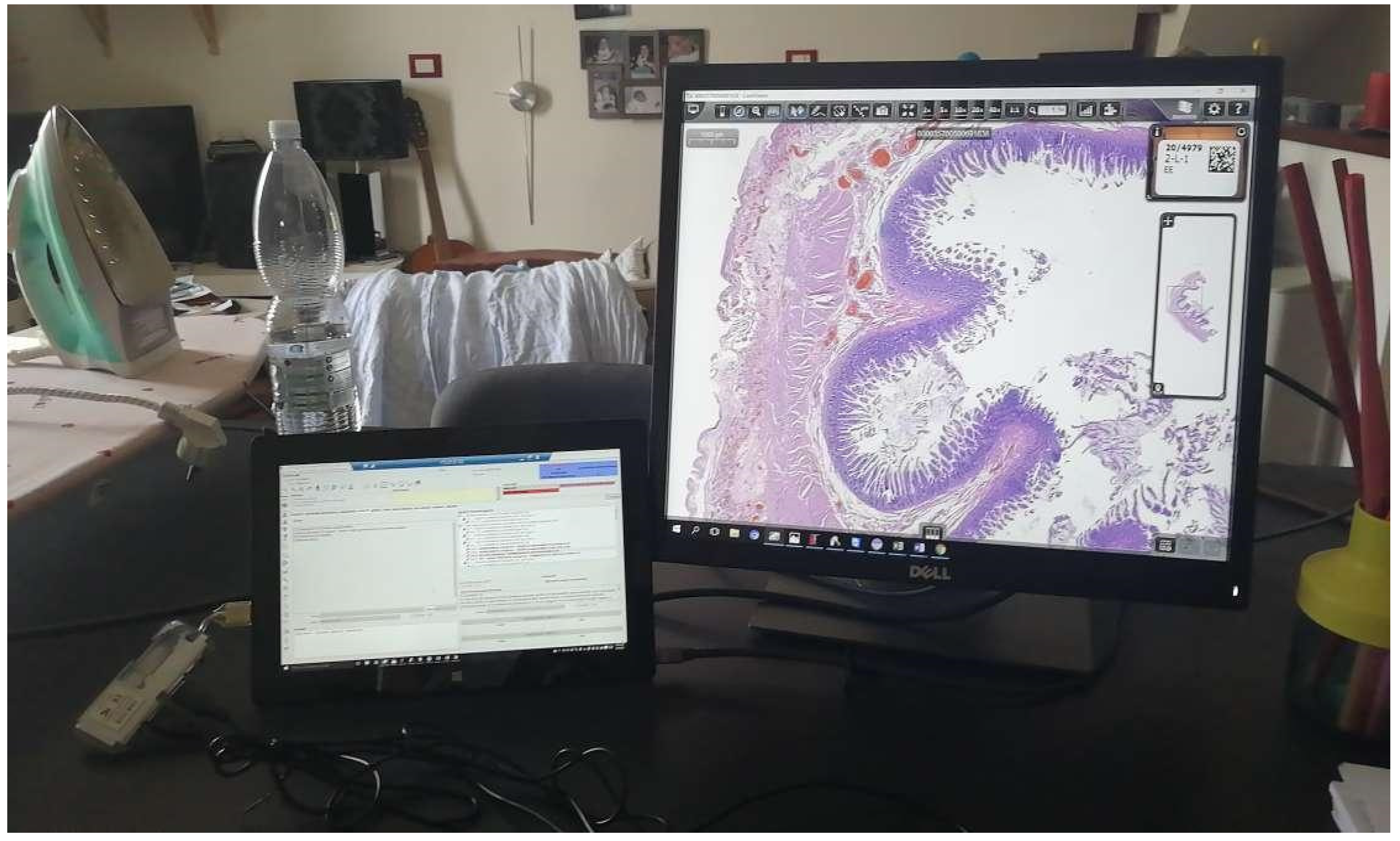 Diagnostics 11 01916 g002 550