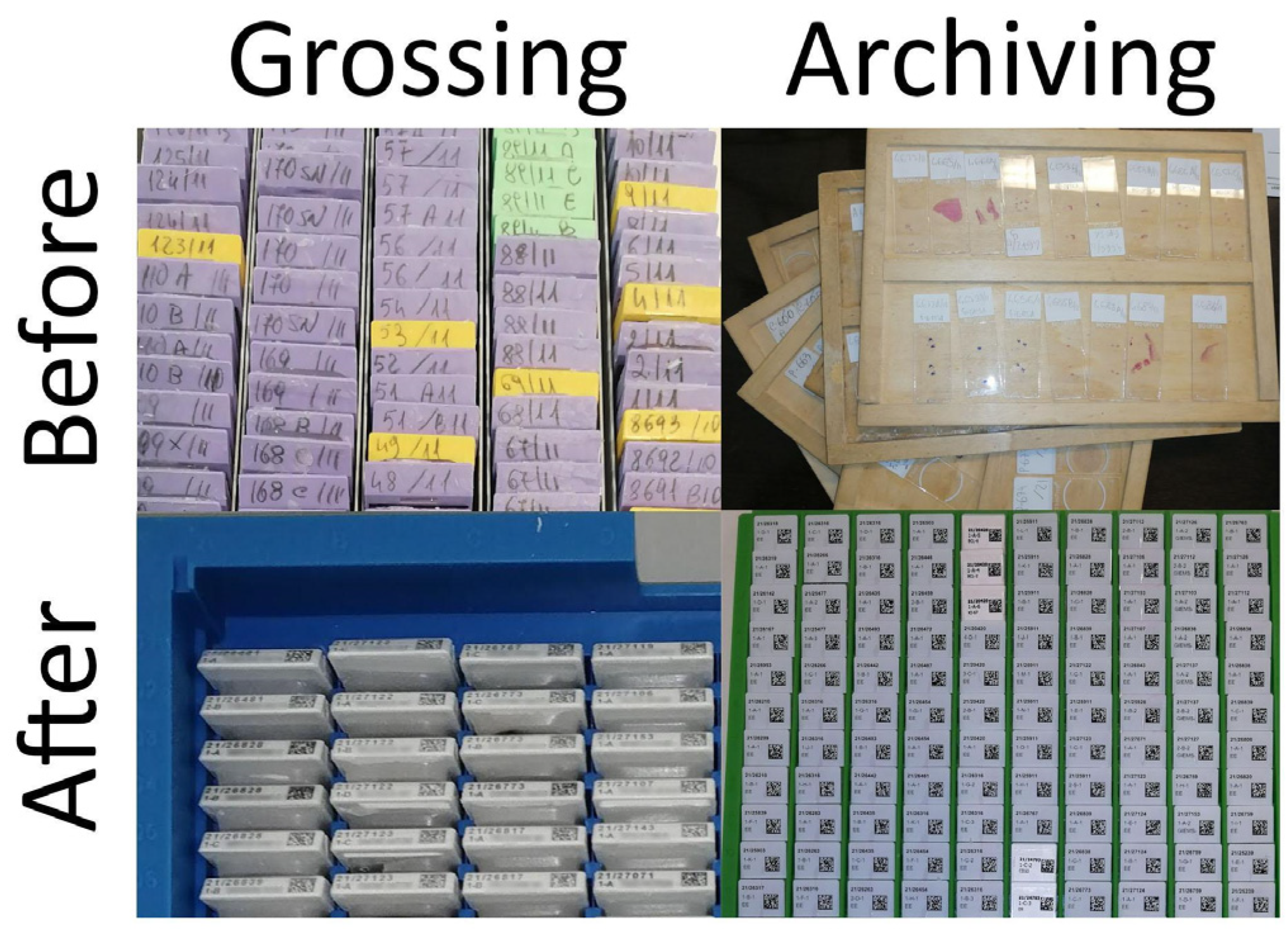 Diagnostics 11 01916 g003 550