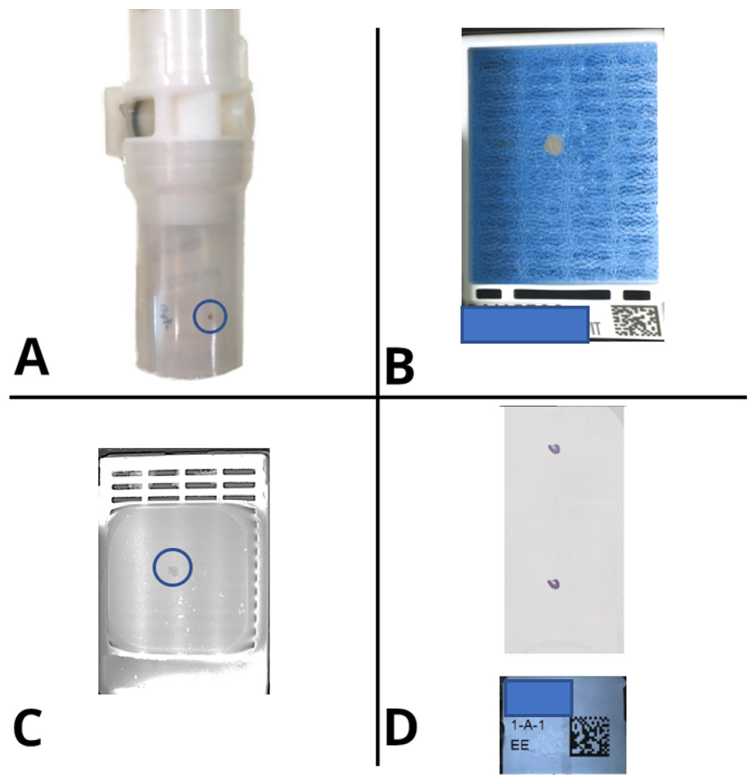 Diagnostics 11 01916 g004 550