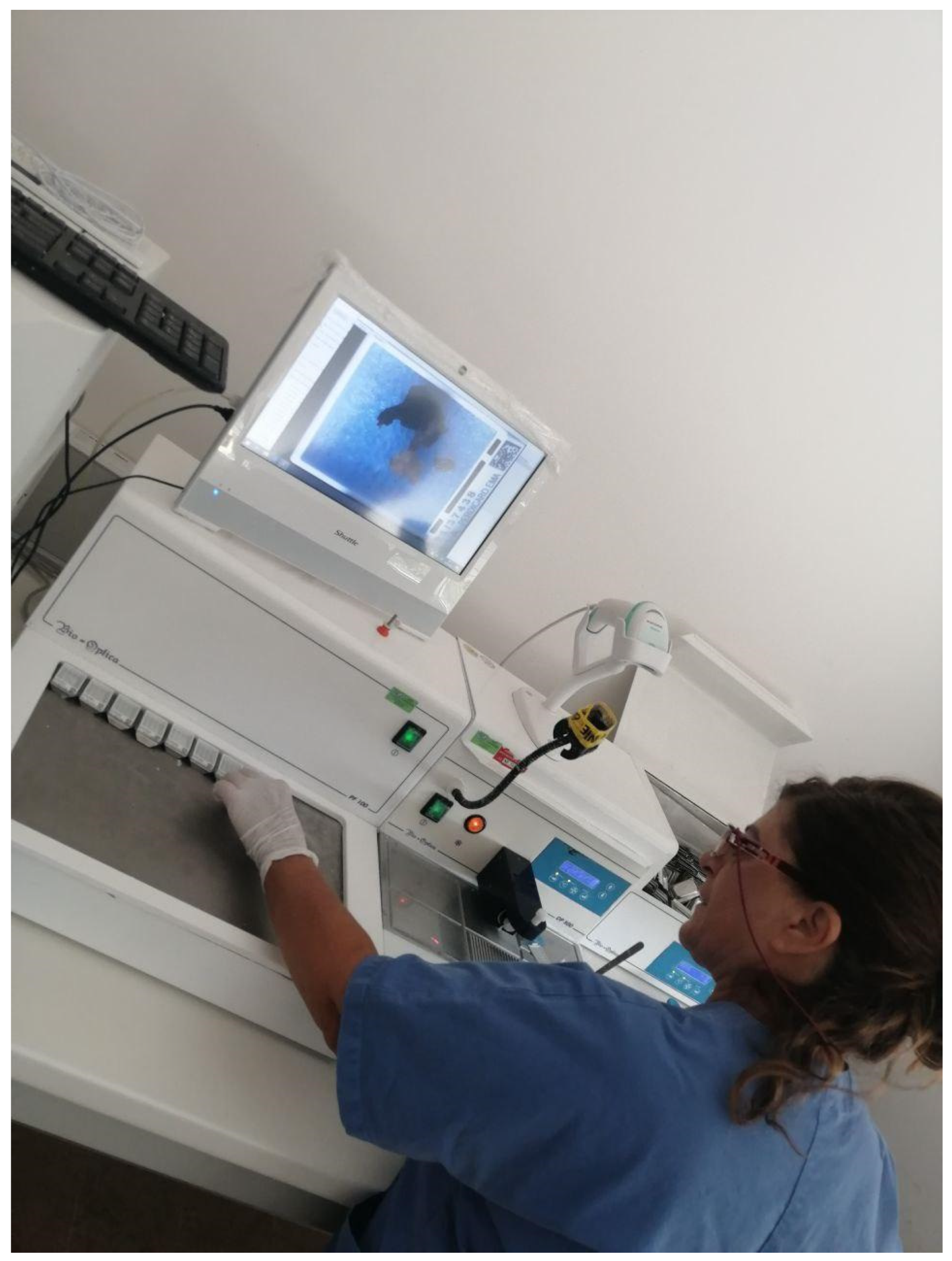 Diagnostics 11 01916 g006 550