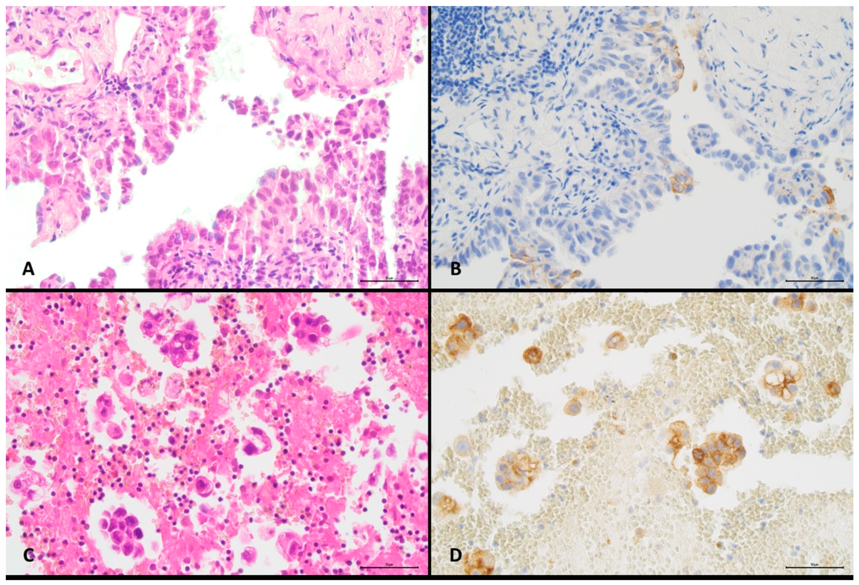 Diagnostics 11 01927 g002 Diagnostics 11 01927 g002