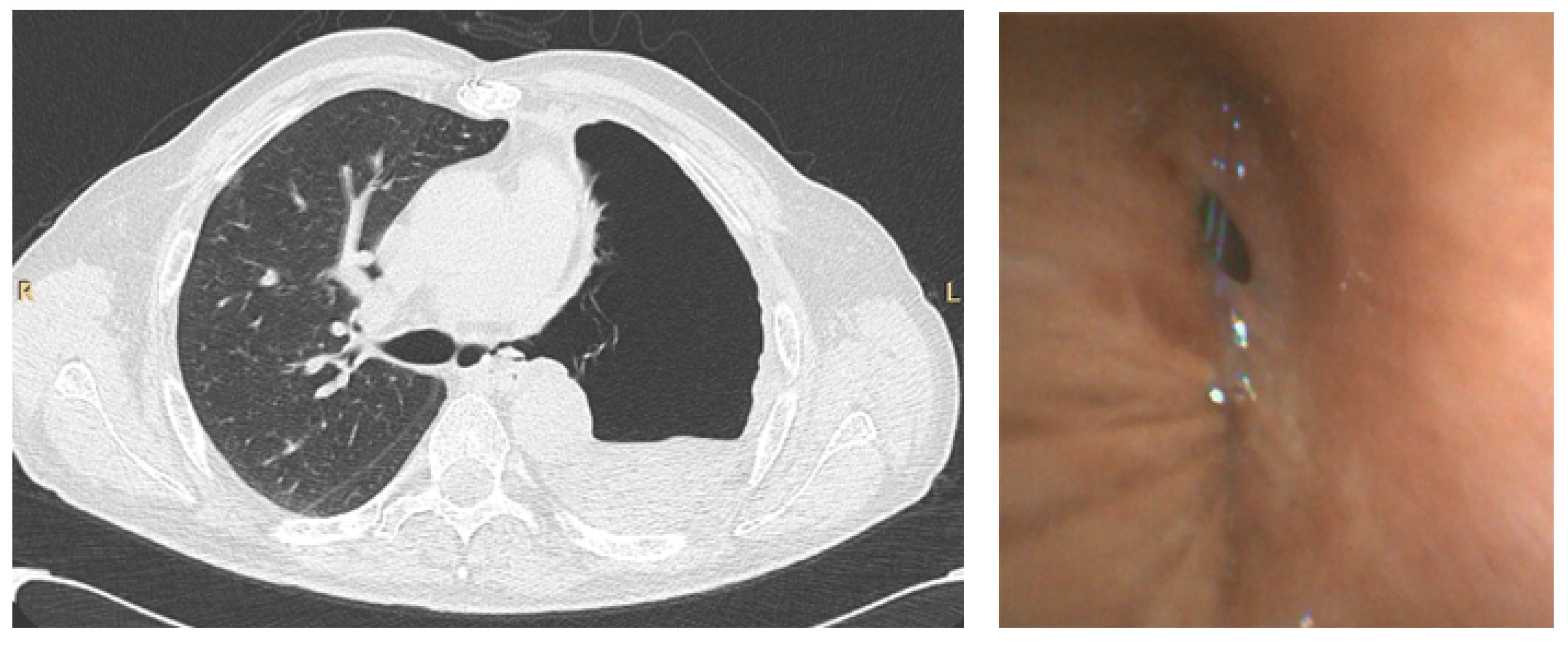 Diagnostics 11 01938 g003