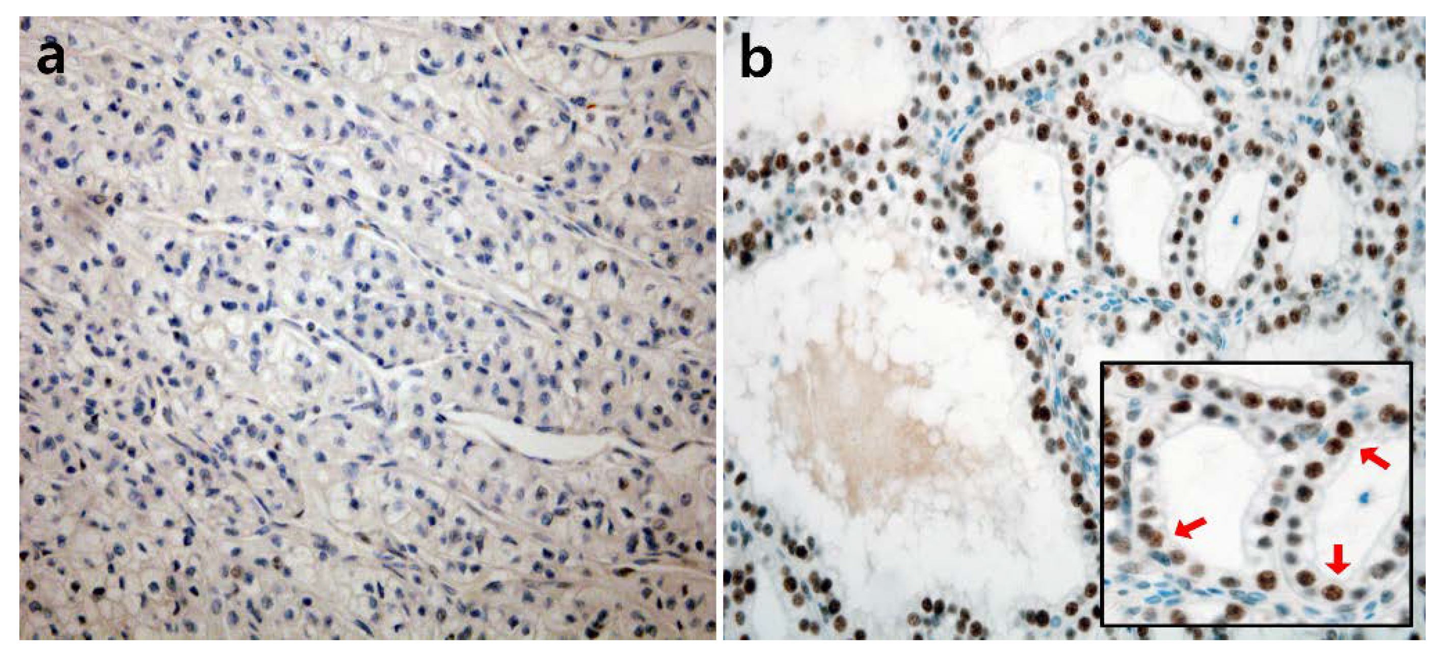 Diagnostics 11 01939 g001