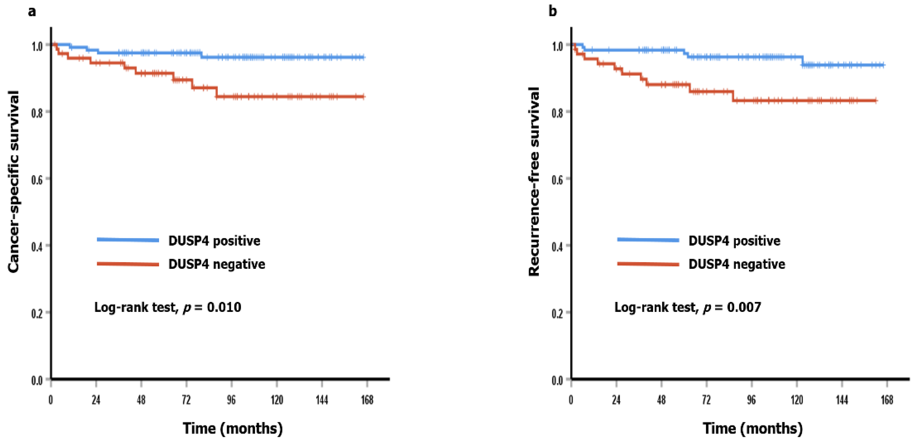 Diagnostics 11 01939 g003