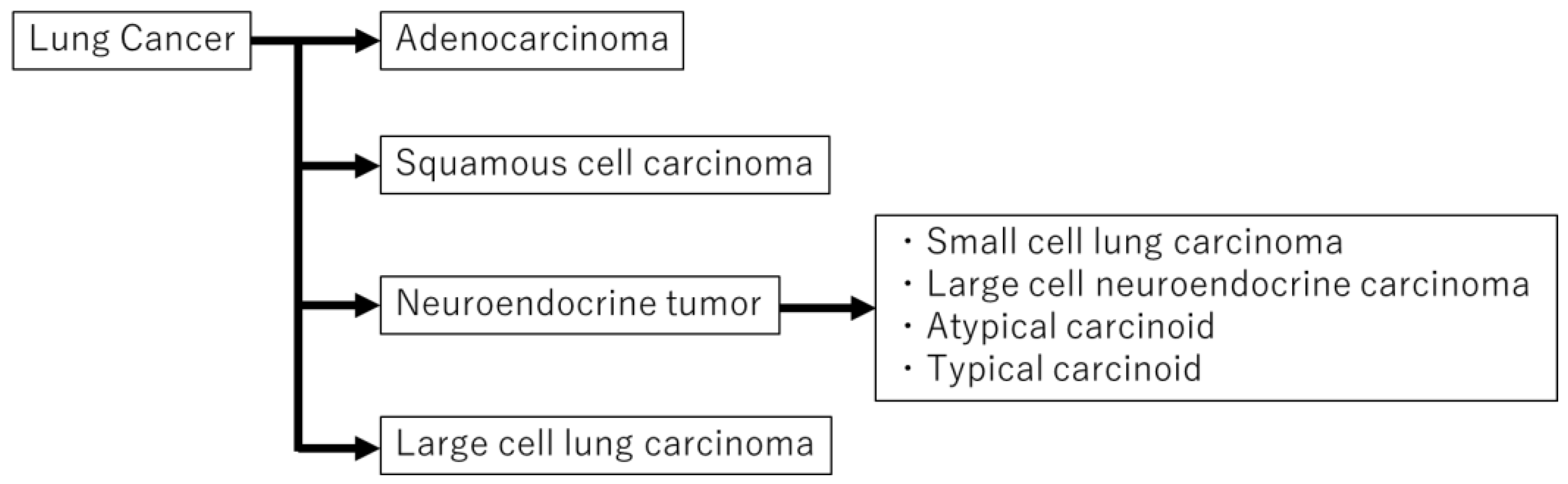 Diagnostics 11 01945 g001 Diagnostics 11 01945 g001