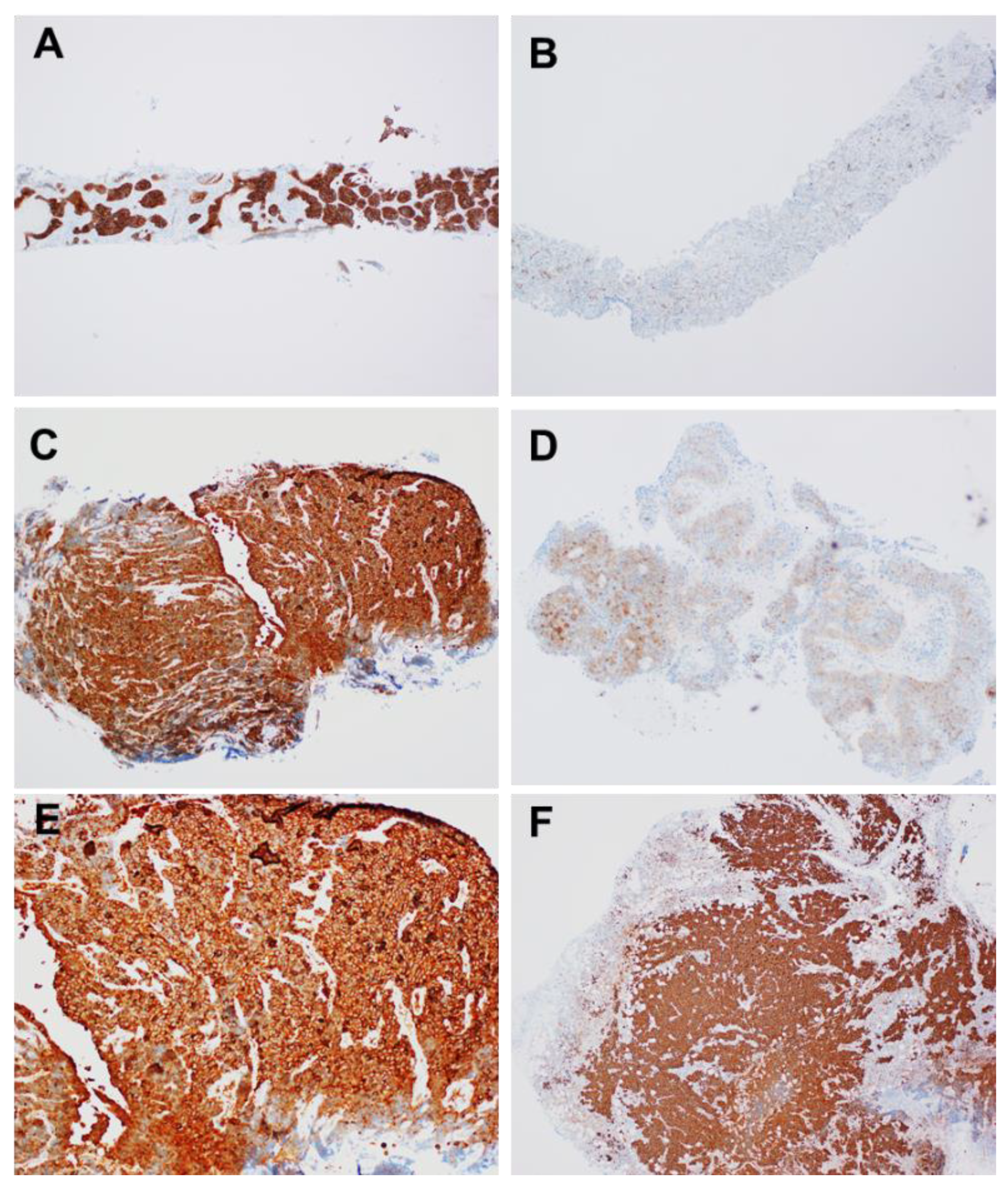 Diagnostics 11 01945 g002 Diagnostics 11 01945 g002