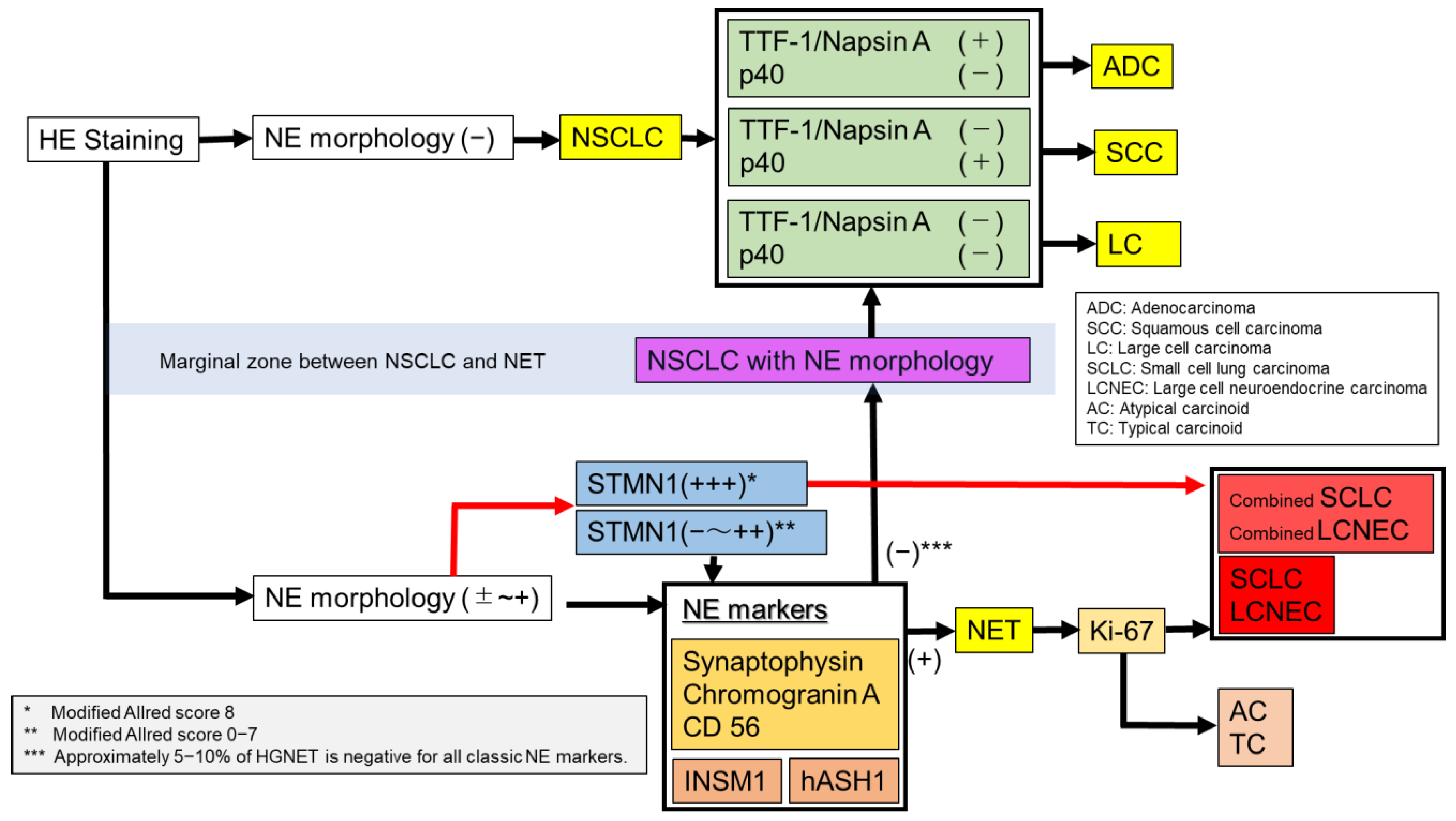 Diagnostics 11 01945 g003 Diagnostics 11 01945 g003