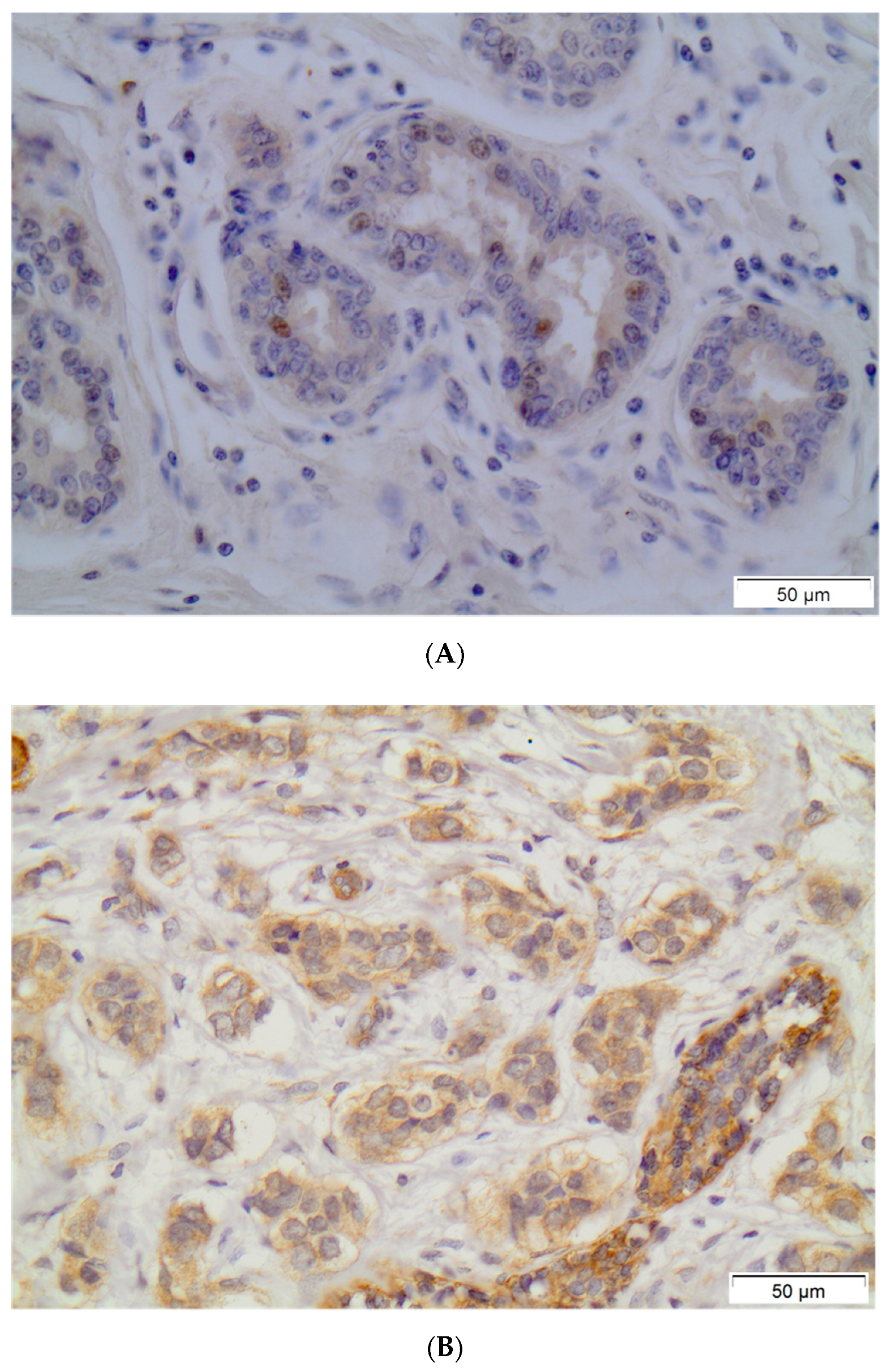 Diagnostics 11 01946 g001 550