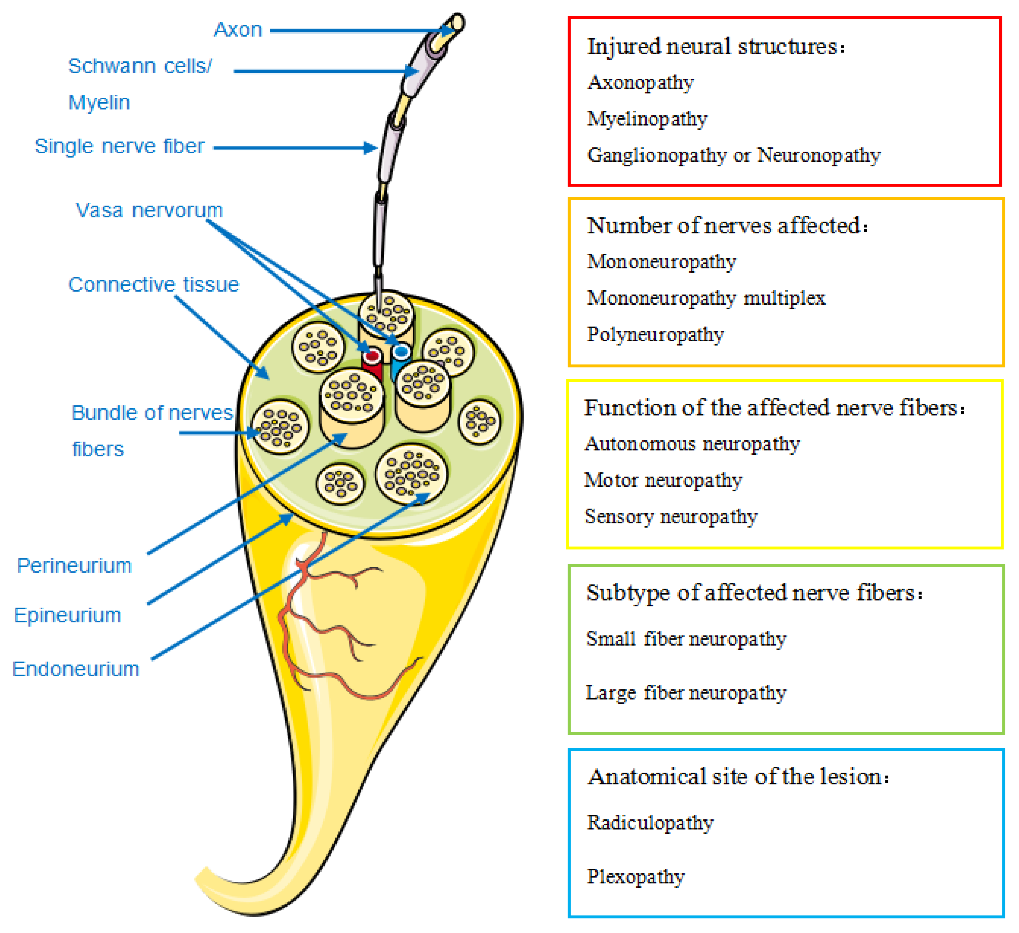 Diagnostics 11 01956 g001