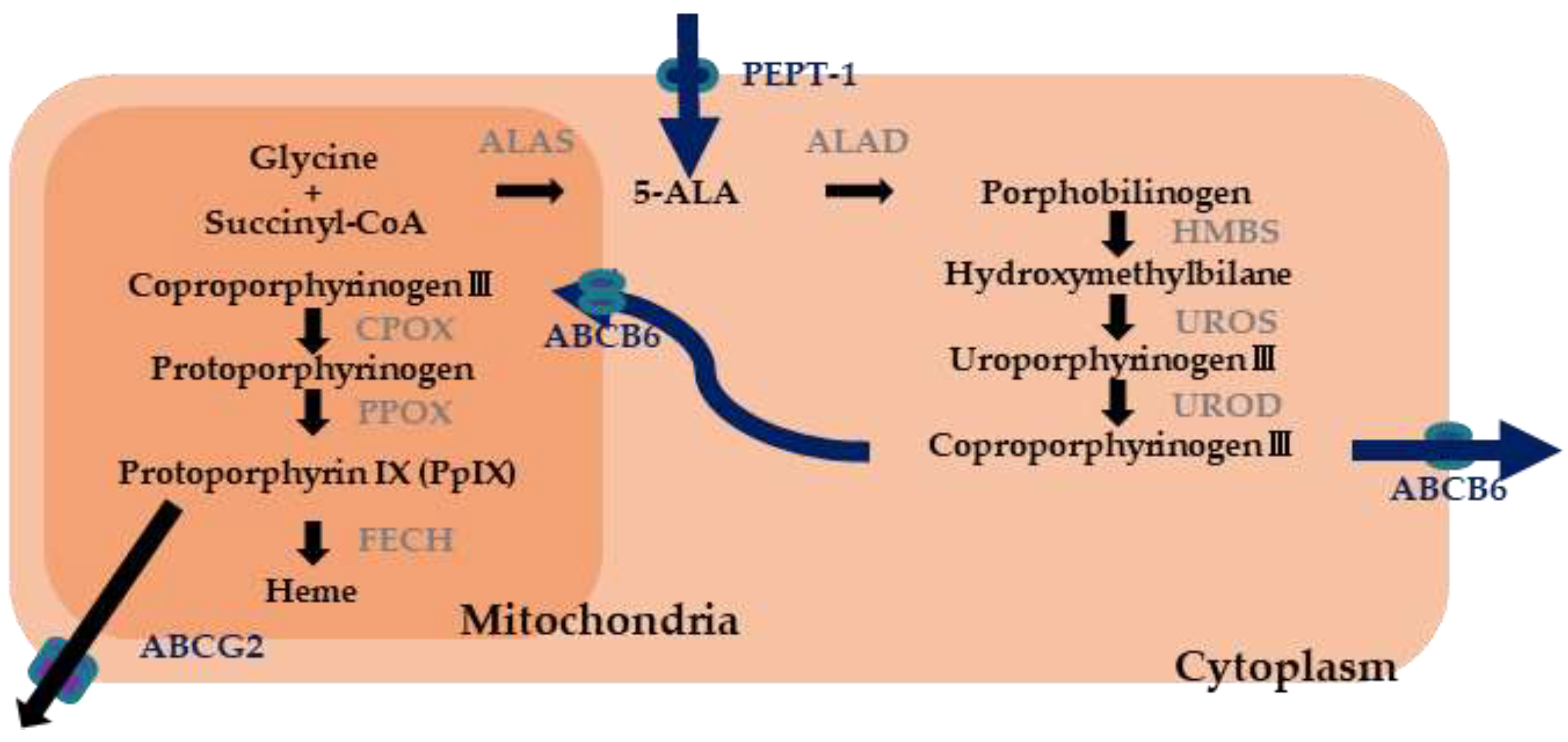 Diagnostics 11 01967 g004 550
