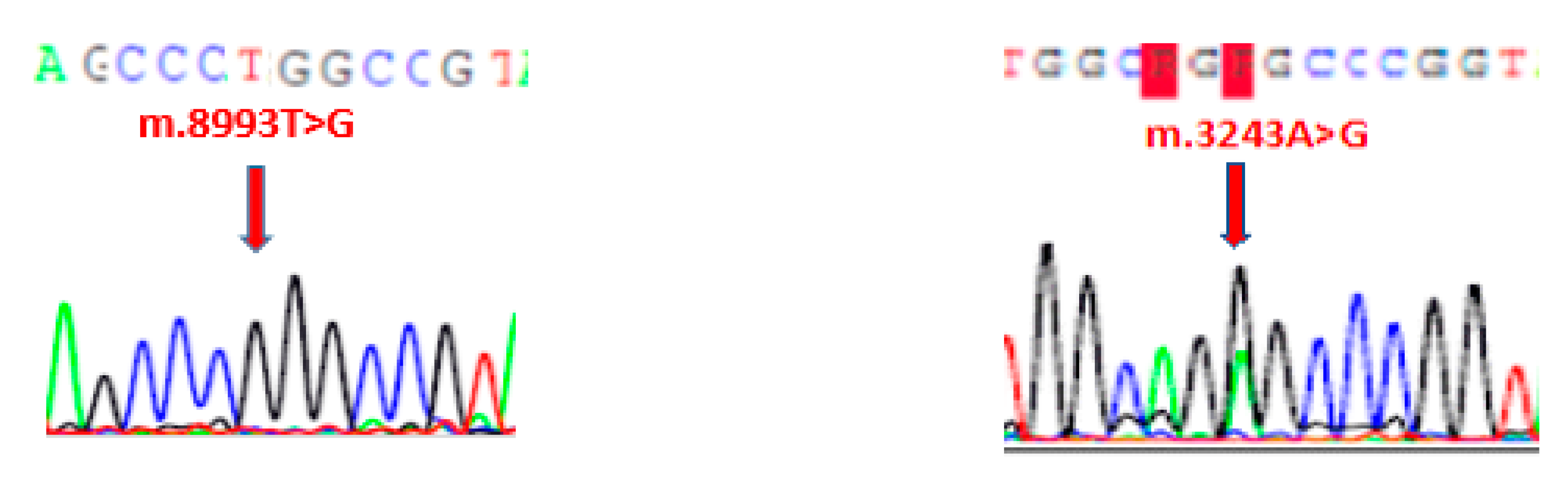 Diagnostics 11 01969 g001