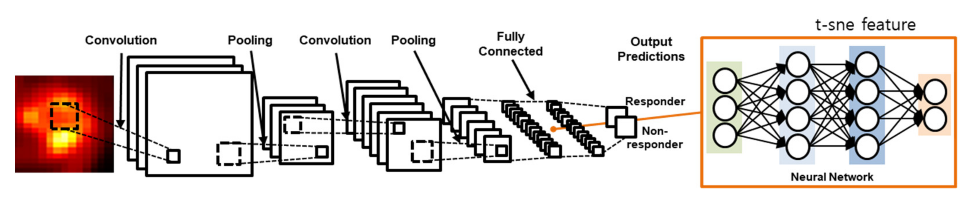 Diagnostics 11 01976 g001