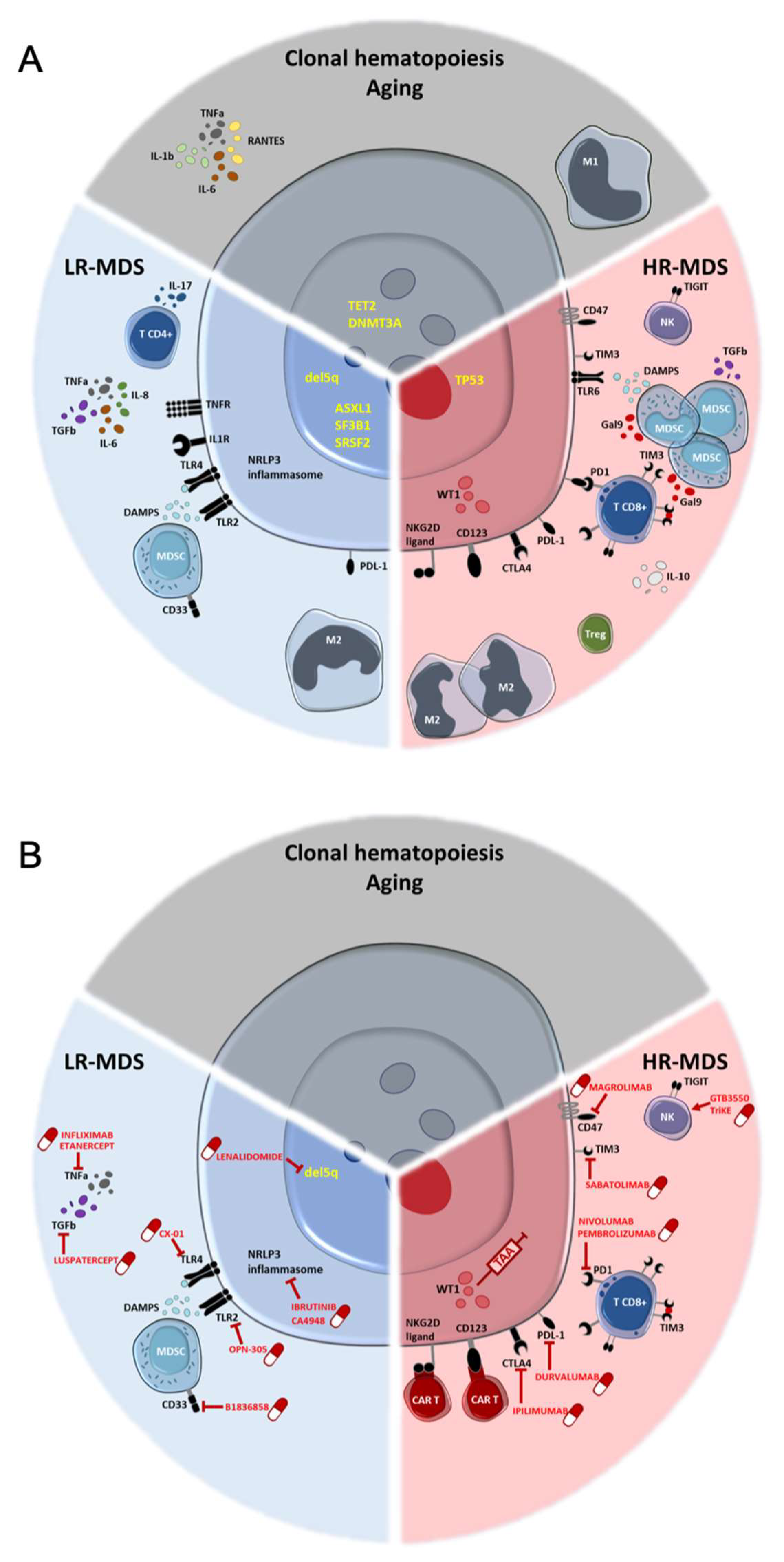 Diagnostics 11 01982 g001