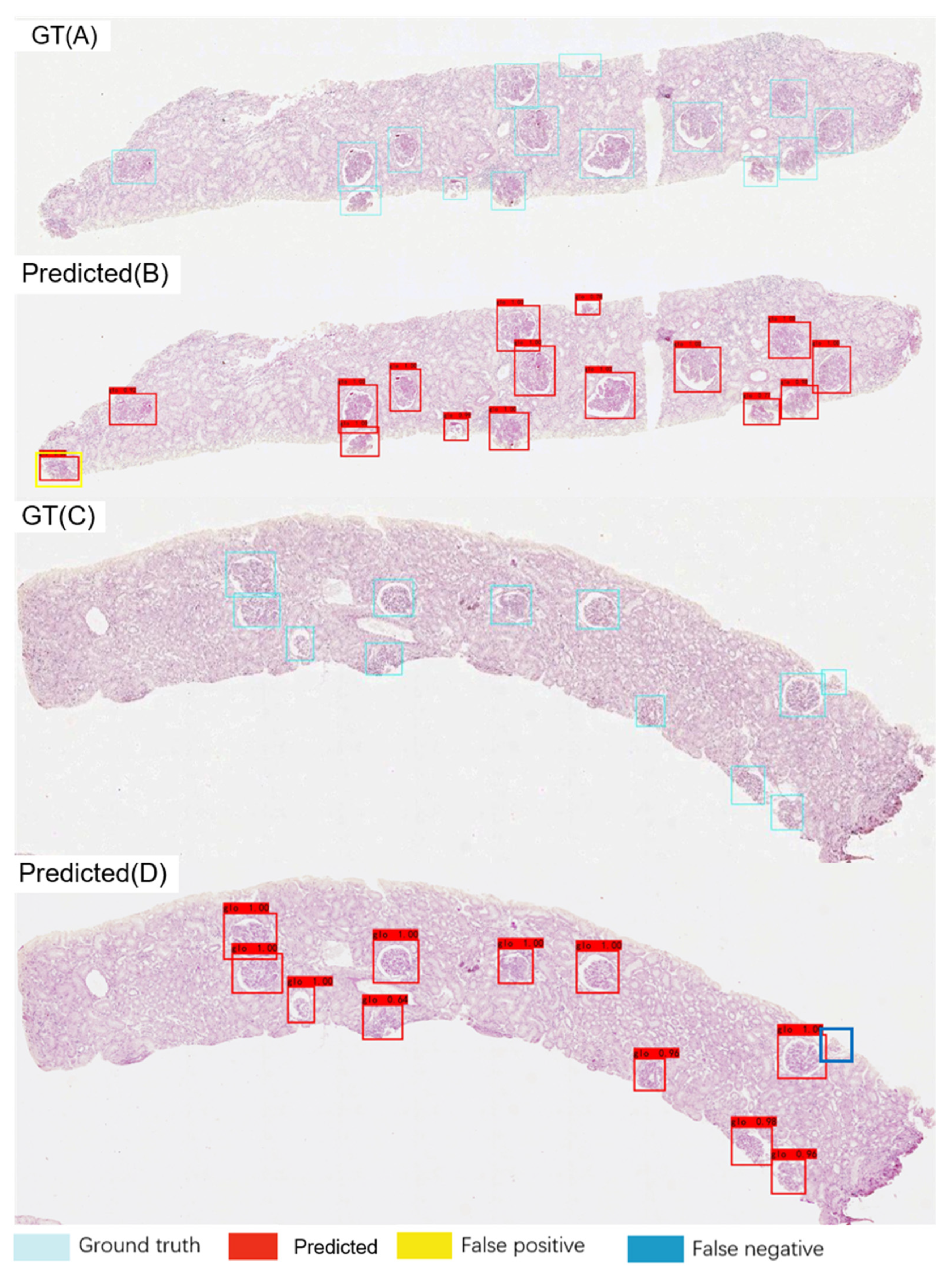 Diagnostics 11 01983 g002